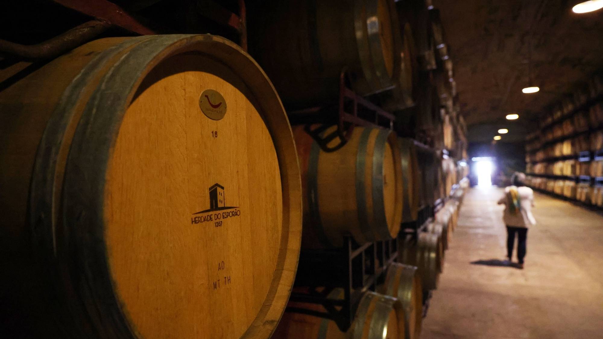 Pipas de vinho na adega da Herdade do Esporão, no dia da celebração do 50.º aniversário da empresa, em Reguengos de Monsaraz, 24 de junho de 2023. NUNO VEIGA/LUSA