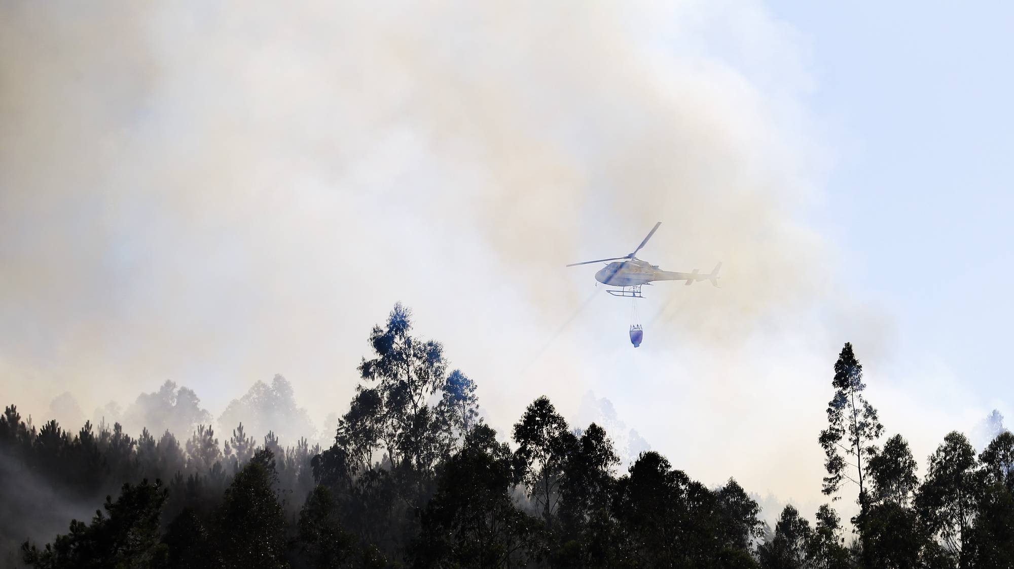 Heat keeps continental Portugal under weather warning until Saturday. 20 municipalities are at maximum risk of fire this Wednesday