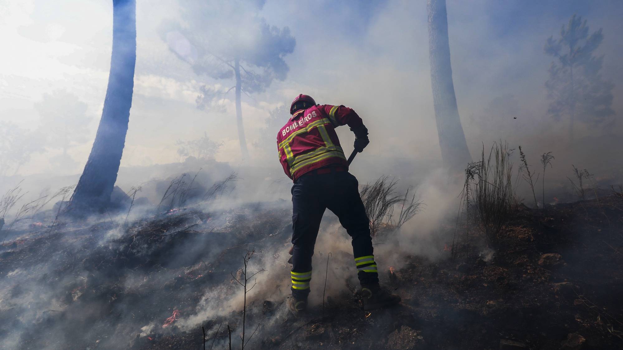 Um bombeiro combate um incêndio que deflagrou hoje em Pinhel, na Guarda, 6 de agosto de 2024. Segundo a página da Autoridade Nacional de Emergência e Proteção Civil (ANEPC), consultada às 17:15, 87 bombeiros, 18 veículos e 07 meios aéreos combatiam o incêndio no local. MIGUEL PEREIRA DA SILVA/LUSA.