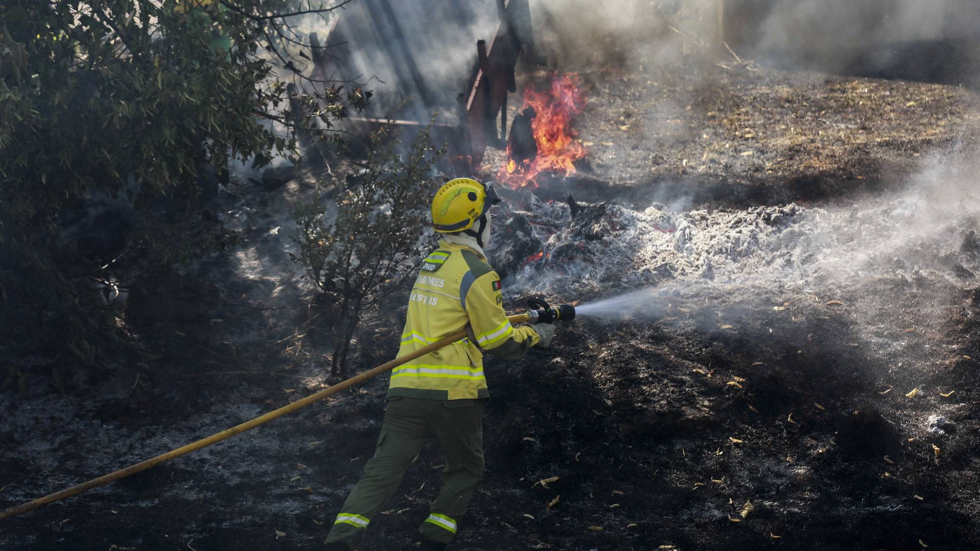 Um bombeiro combate um incêndio que deflagrou hoje em Pinhel, na Guarda, 6 de agosto de 2024. Segundo a página da Autoridade Nacional de Emergência e Proteção Civil (ANEPC), consultada às 17:15, 87 bombeiros, 18 veículos e 07 meios aéreos combatiam o incêndio no local. MIGUEL PEREIRA DA SILVA/LUSA.