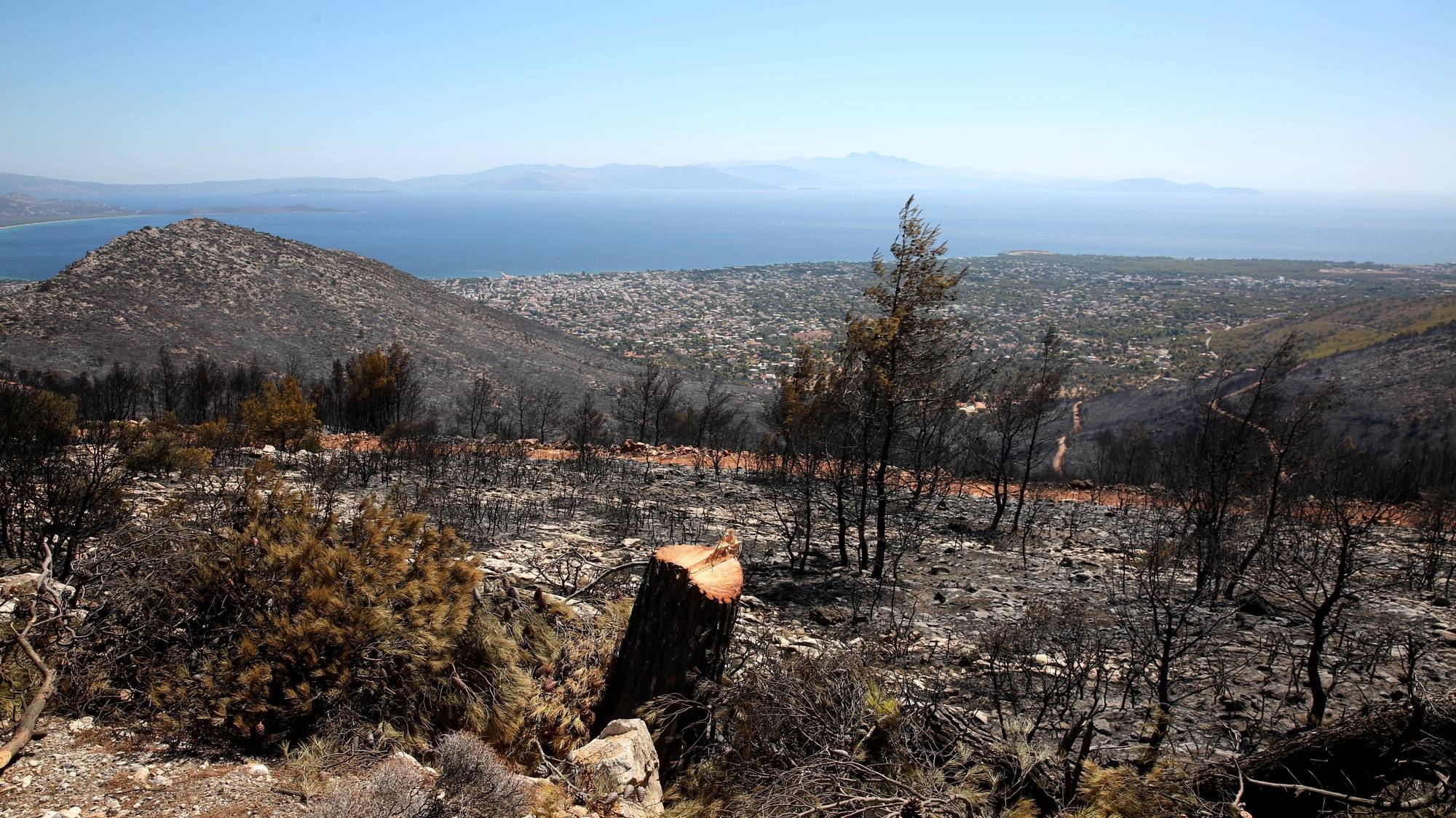 epa11547503 A view of a burnt area, after a wildfire in the area of Anatoli Neas Makris, close to Athens city, Greece, 13 August 2024. A wildfire that broke out on 11 August in the outskirts of Athens and spread to a large part of northeastern Attica no longer had a single front on 13 August. The fire stretched along a front more than 30 kilometres in length. According to the Fire Brigade, the firefighting forces are dealing with scattered pockets of fire from Varnavas to Nea Makri and Penteli while there are constant rekindlings. Firefighters found a charred body, of a 60-year-old woman, in a small factory that caught fire in Patima Halandriou.  EPA/ALEXANDROS BELTES