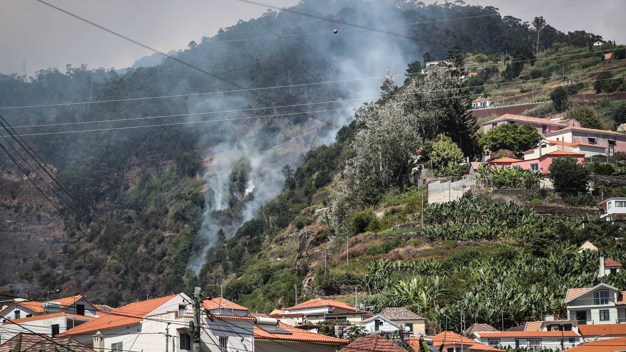 Fire in Madeira. East Timor donates 2.2 million euros