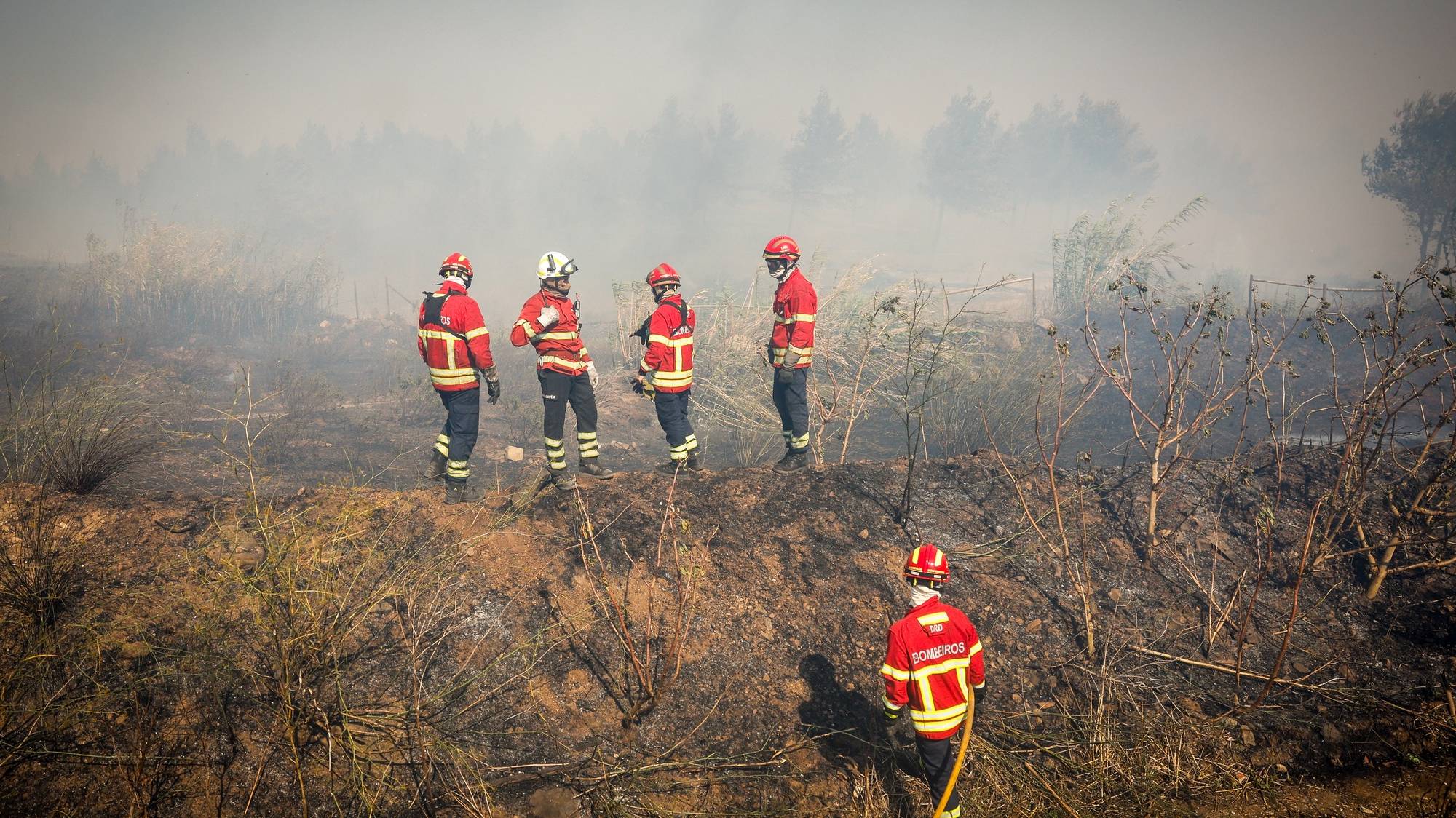 Bombeiros durante um incêndio que deflagrou hoje em zona de mato por volta das 12:20, em Alcabideche, no concelho de Cascais, Lisboa, de acordo com a Proteção Civil, 21 de julho de 2024. Segundo a página da Autoridade Nacional de Emergência e Proteção Civil (ANEPC), consultada às 17:08, 313 bombeiros, 91 veículos e nove meios aéreos combatiam o incêndio no local. ANTÓNIO PEDRO SANTOS/LUSA