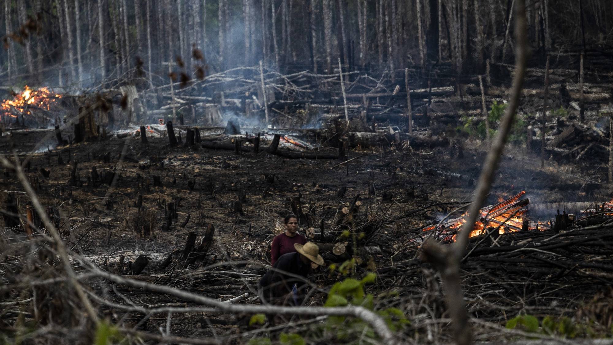 epa10180073 People set fire to an area of the amazon forest zone in the Careiro Castanho, Brazil, 09 September 2022 (issued 12 September 2022). Deforestation and fires coexist, side by side, with the asphalting works of BR-319, the controversial Brazilian highway that is leaving a trail of devastation as it passes through the Amazon.  EPA/Raphael Alves