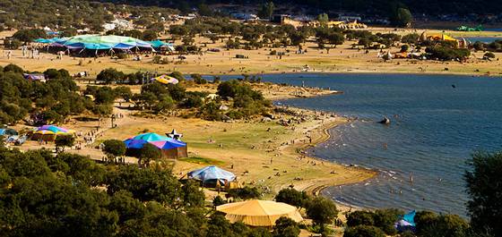 boom festival