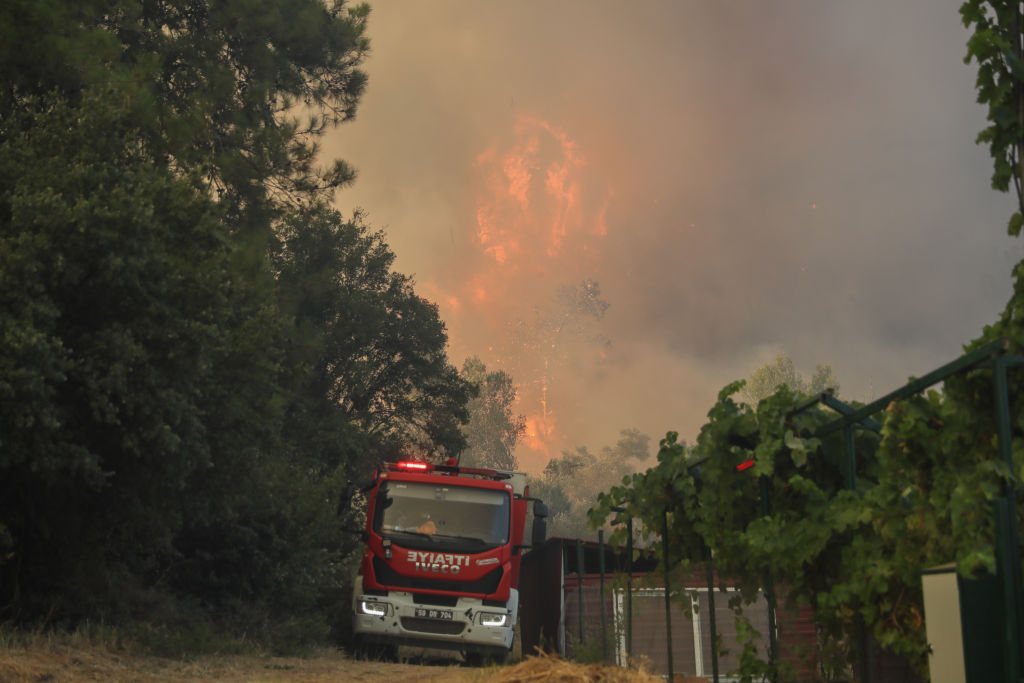 Forest fires in Mugla