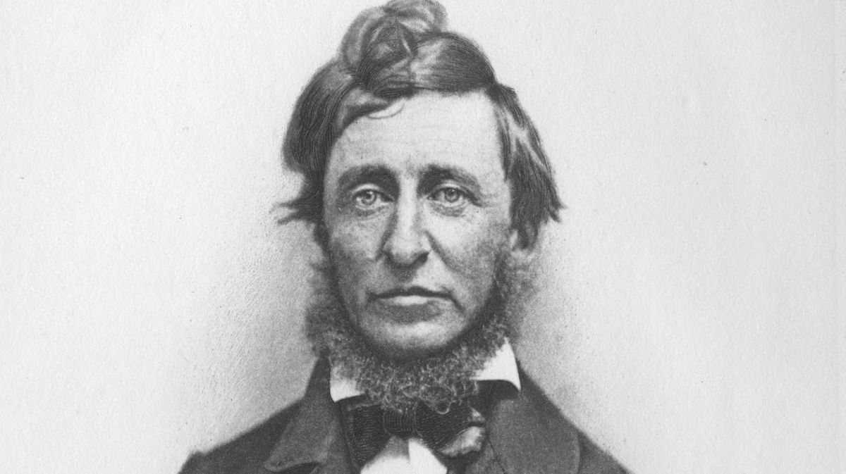 Thoreau (1817-1862) defende que nada se deve sobrepor aos imperativos de consciência, renegando a adesão a qualquer movimento que, no seu entender, pretenda substituir a nossa irrevogável individualidade por uma cega obediência a leis superiores