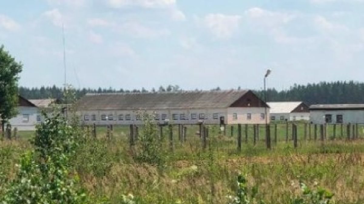 O grupo ativista ByPol tornou público uma gravação onde o vice-ministro do Interior Mikalay Karpyankou afirmava ser necessário a construção de campos de prisioneiros para que manifestantes “mais teimosos” o renovassem