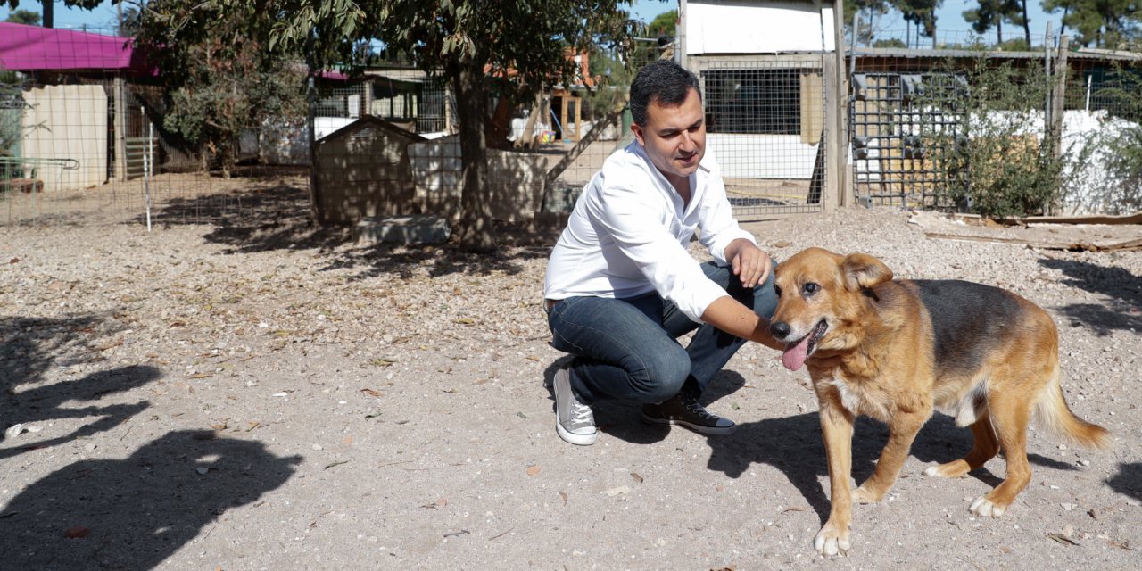 André Silva durante a visita ao canil da Associação dos Amigos dos Animais de Almada, esta quinta-feira