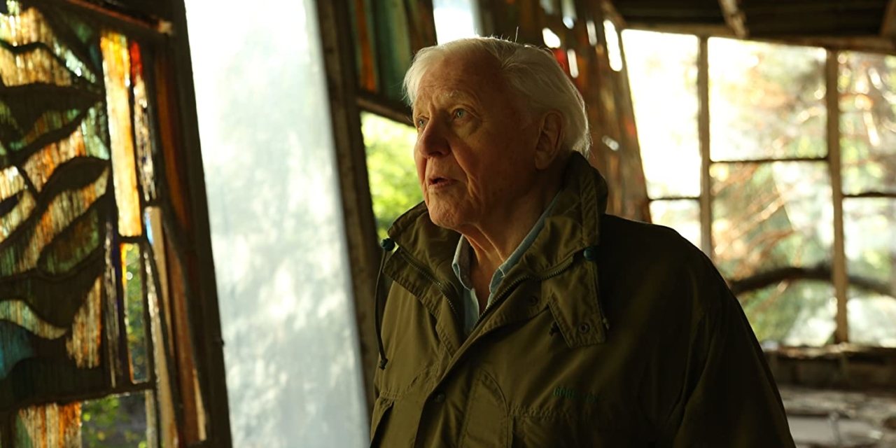 David Attenborough, agora com 94 anos, continua interessado no mundo, mais preocupado do que nunca com a forma como os humanos reclamaram para si um planeta que não podem habitar sozinhos