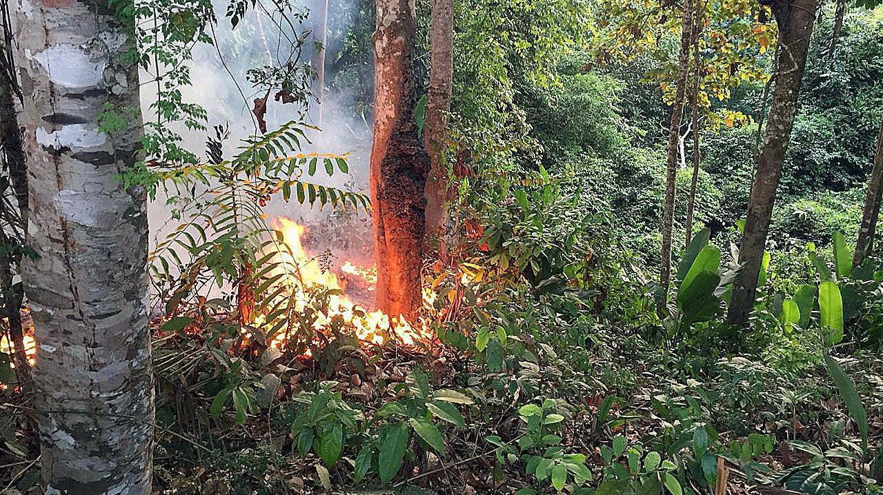 epa07787036 A handout picture provided by Porto Velho&#039;s Firefighters shows a fire at the Brazilian Amazonia, in Porto Velho, capital of Rondonia, Brazil, 18 August 2019 (issued 22 August 2019). The Brazilian region of the Amazonia has registered over half of the 71,497 fires detected this year between January and August, an 83 percent increase over the the same period last year according to Brazil&#039;s National Institute for Space Research (INPE).  EPA/Porto Velho Firefighters HANDOUT  HANDOUT EDITORIAL USE ONLY/NO SALES/NO ARCHIVES