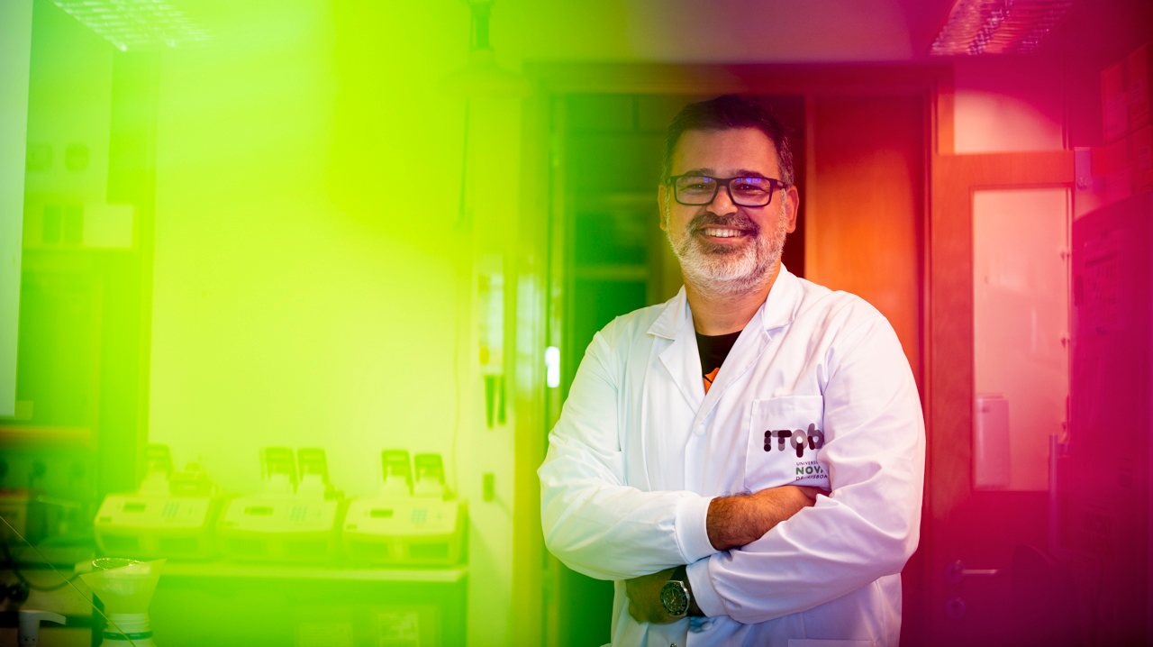 Licenciado em Química Aplicada e doutorado em Biologia Celular, Pedro Matos Pereira desenvolveu investigação na University College de Londres e trabalha agora no Instituto de Tecnologia Química e Biológica António Xavier, da UNL, em Oeiras