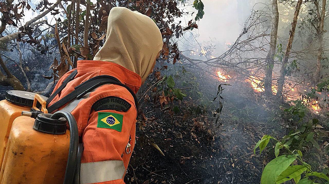 Em todo o Brasil, os incêndios destruíram 1,85 milhão de quilómetros quadrados nos últimos 38 anos, uma área equivalente à Colômbia e ao Chile juntos
