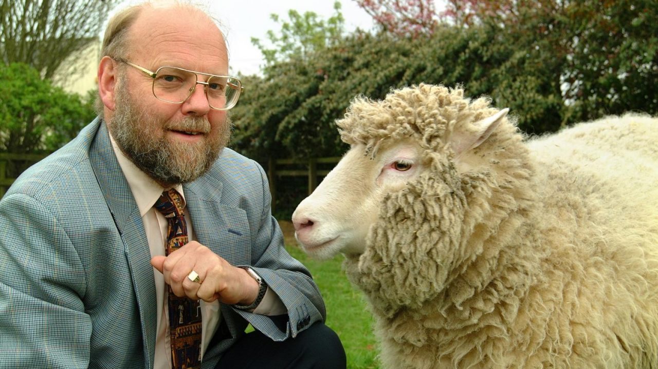 Ian Wilmut clonou uma ovelha em 1996 dando origem à famosa Dolly