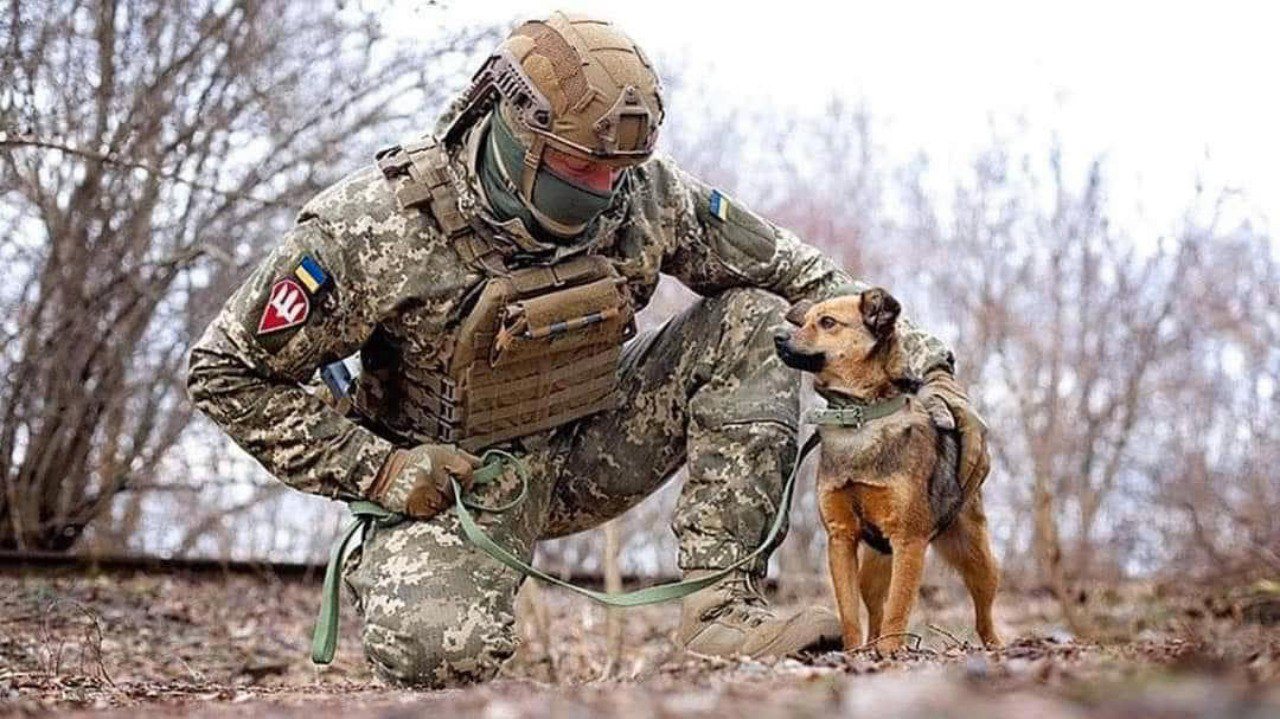 Soldado com um cão na Ucrânia