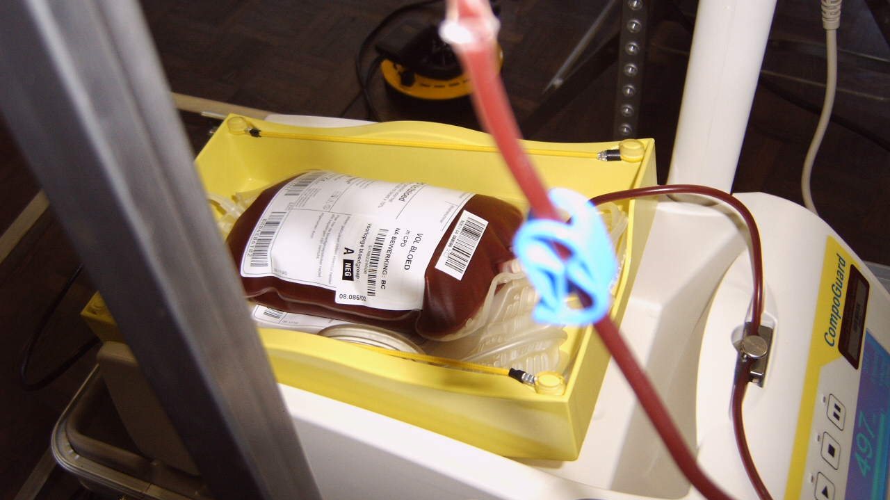 O jovem e os pais recusam a transfusão de sangue