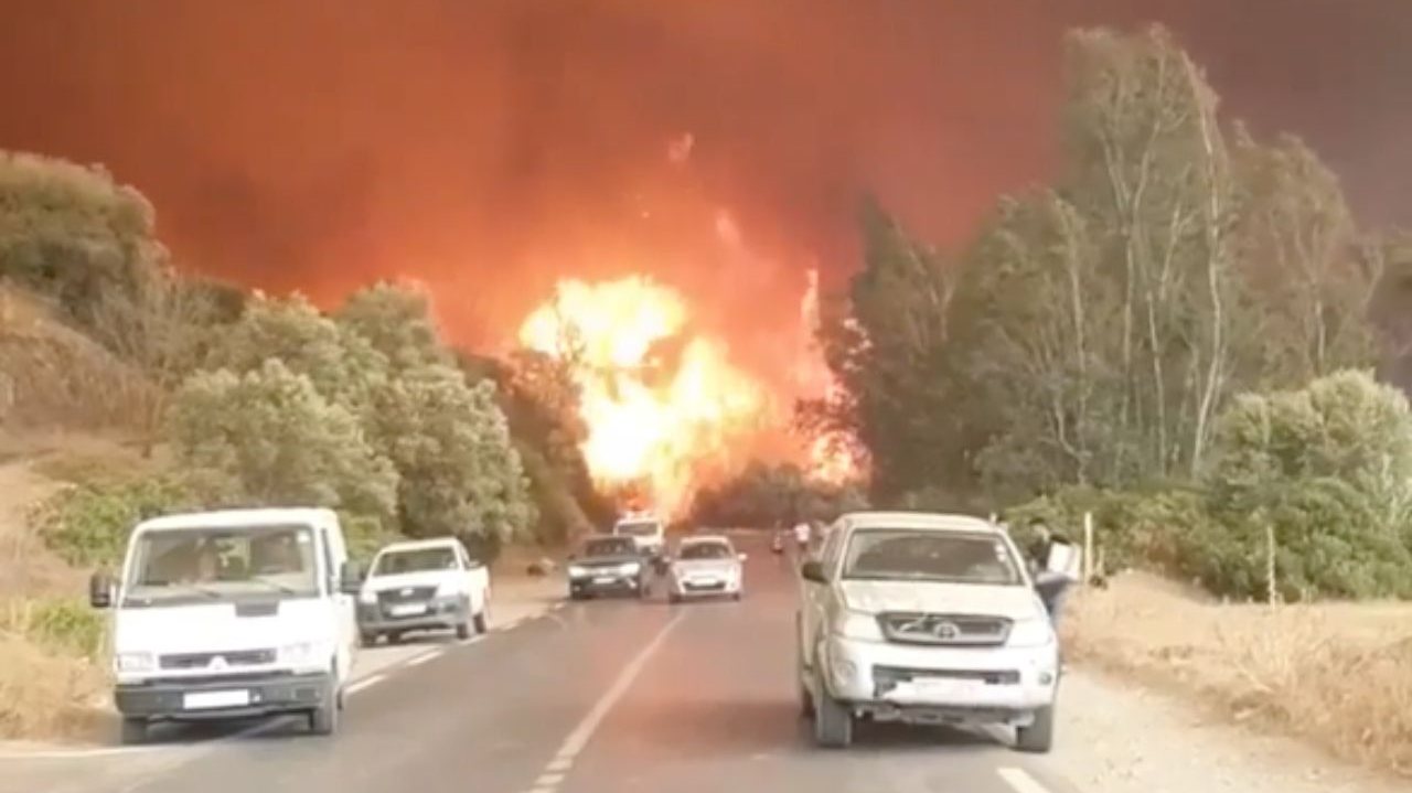 Forest fires in Algeria [Screengrab/ Social media]