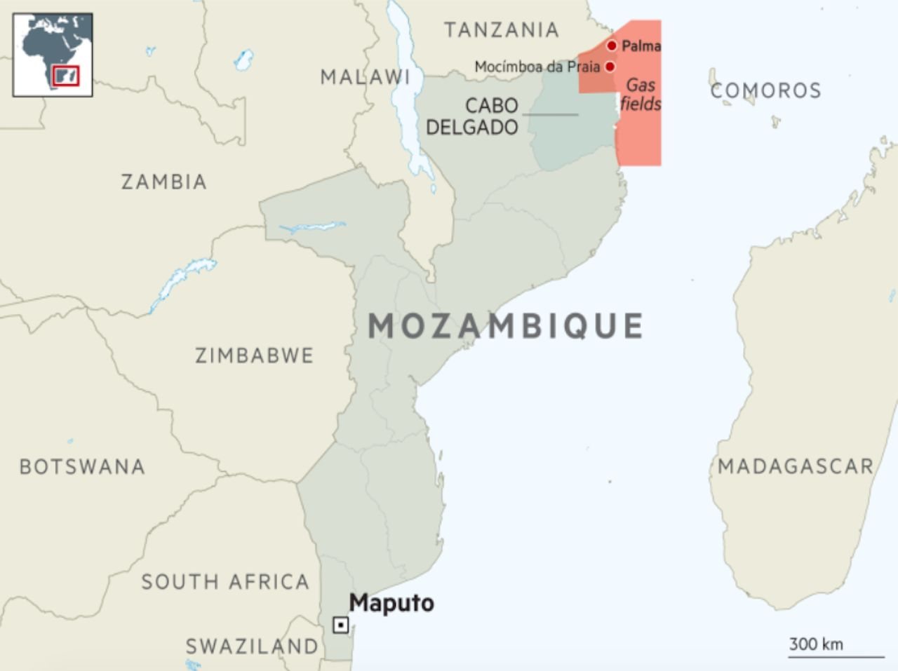 Comissão Política da Frelimo condena ataques de grupos que aterrorizam  alguns distritos de Cabo delgado
