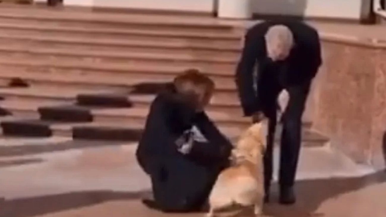 A Presidente da Moldávia pediu desculpas ao seu homólogo e explicou que o cão estava muito agitado