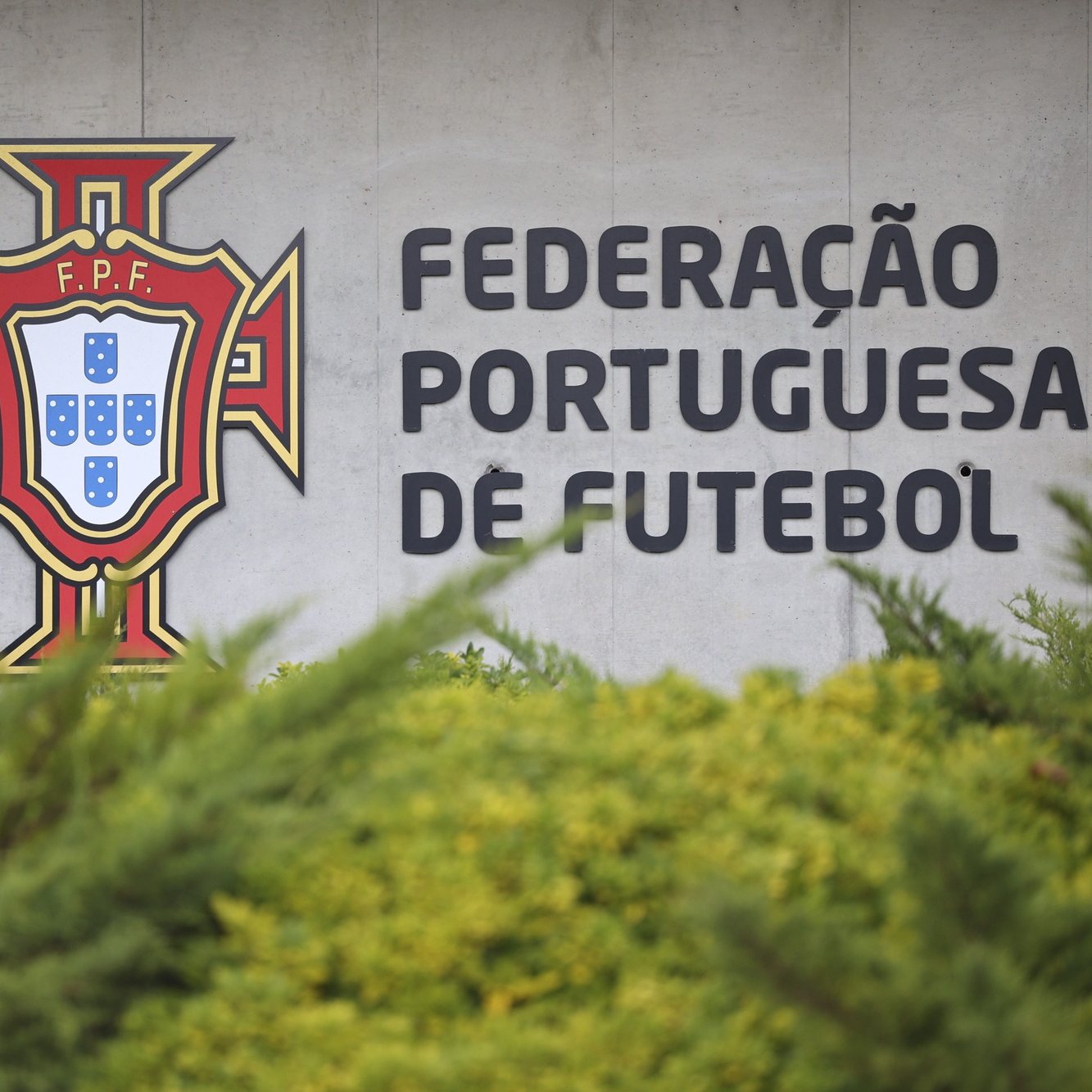 Logotipo da Federação Portuguesa de Futebol,  Oeiras, 04 de dezembro de 2023. ANTÓNIO COTRIM/LUSA