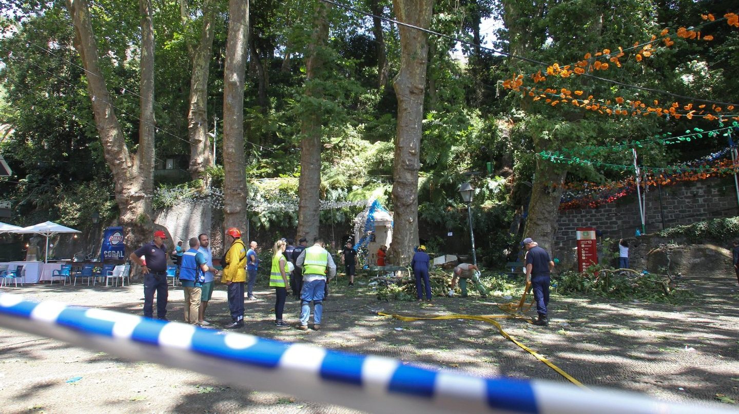 Em 2017, 13 pessoas morreram e dezenas ficaram feridas na sequência da queda de uma árvore no Monte, no Funchal
