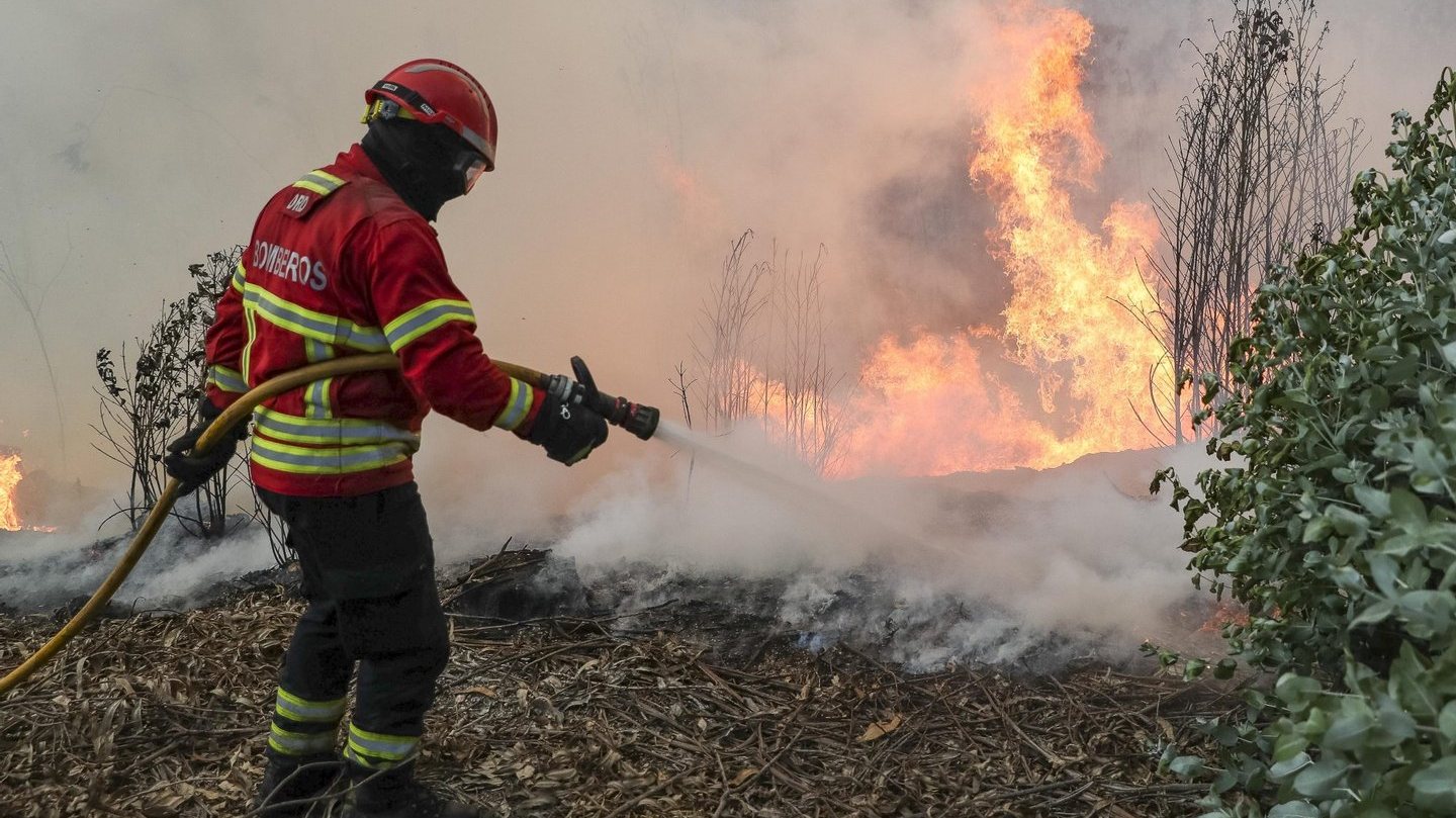 No local, estão corporações de bombeiros dos distritos de Leiria e Coimbra