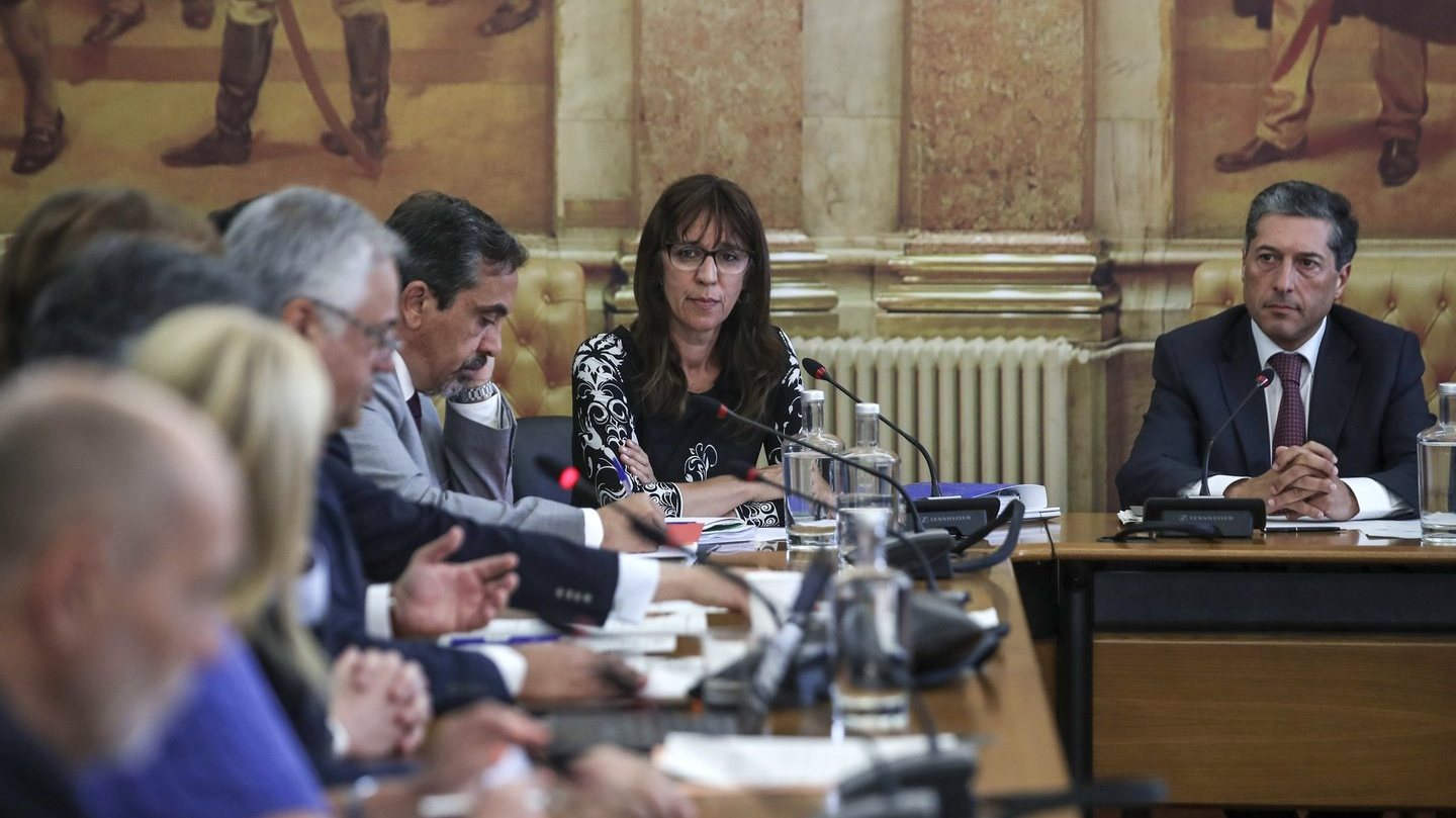 Helena Carreiras falava numa audição da Comissão parlamentar de Defesa Nacional sobre a execução da Lei de Programação Militar