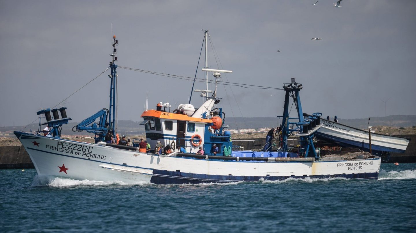 Os novos máximos de descarga e venda de sardinha variam consoante o comprimento da embarcação utilizada.