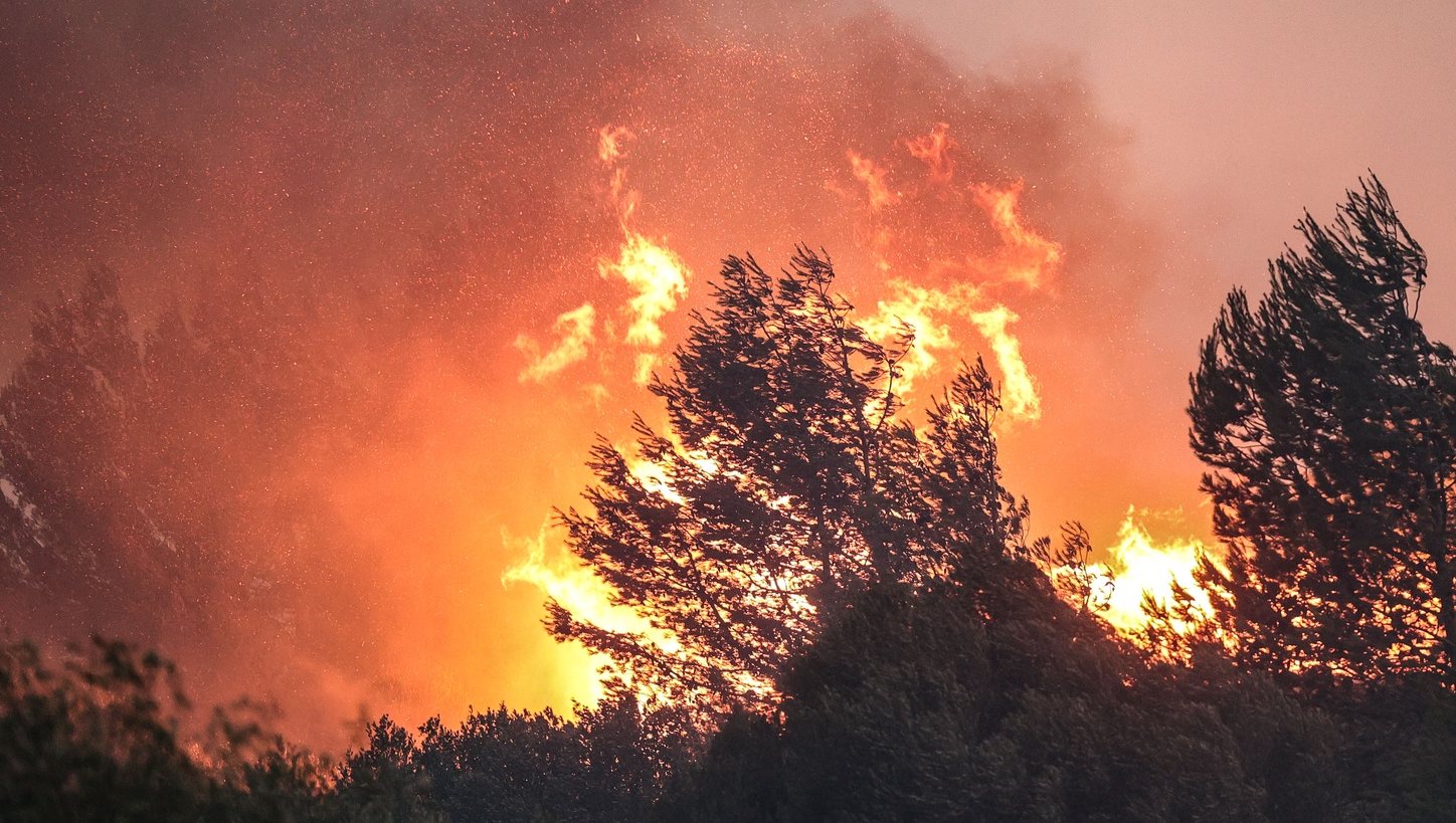 Bombeiros combatem as chamas no Alto do Alvide, Cascais, 25 de julho de 2023. 423 operacionais, apoiados por 111 veículos e 14 meios aéreos combatem um incêndio que deflagrou em Alcabideche, no concelho de Cascais e que já causou ferimentos ligeiros num bombeiro. MANUEL DE ALMEIDA/LUSA