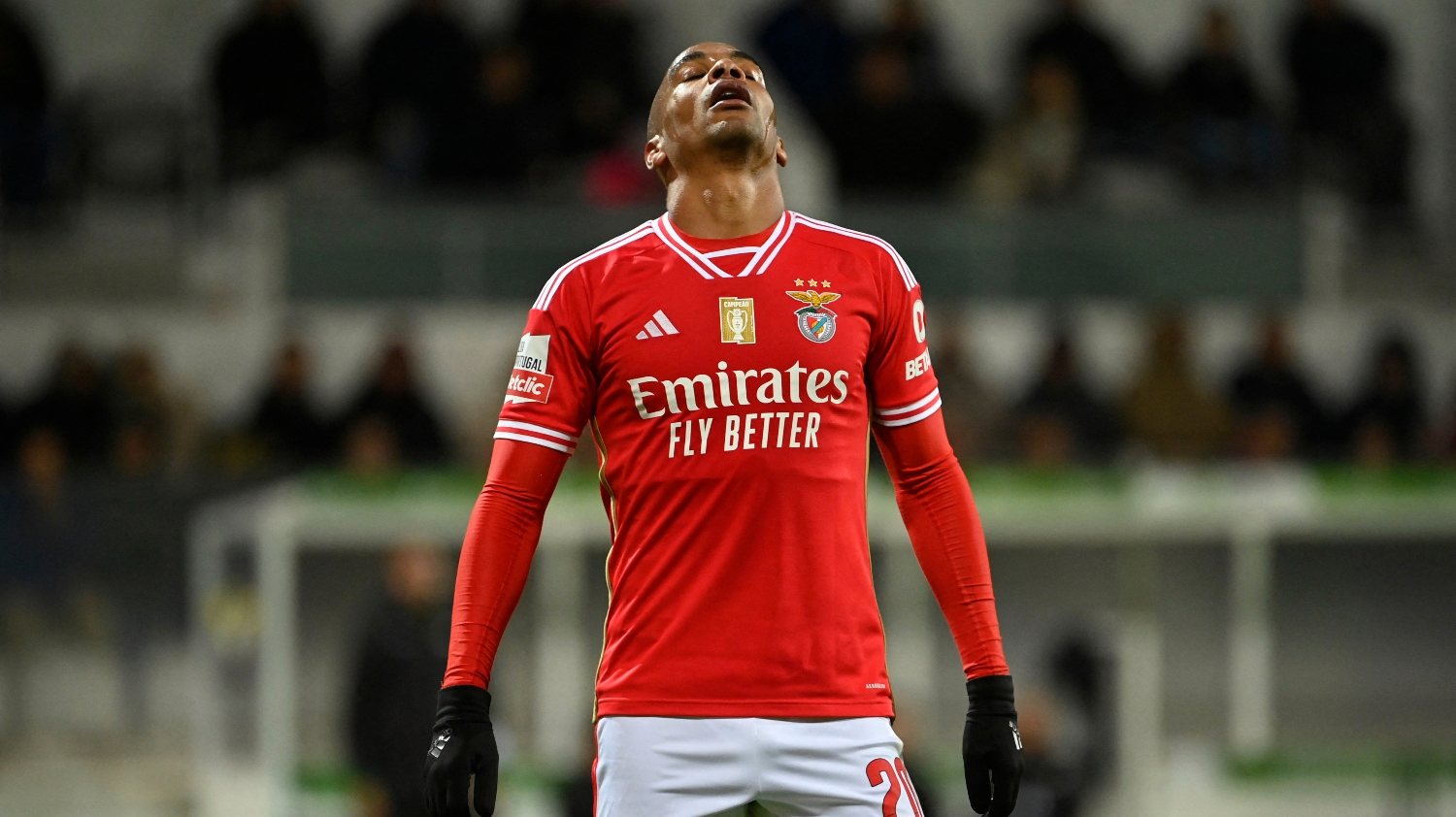 Benfica manda na casa dos leões em jogos da I Liga. Veja o