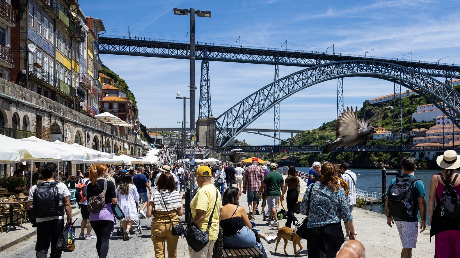 Turistas passeiam na ribeira do Porto, 13 de junho de 2024. JOSÉ COELHO/LUSA
