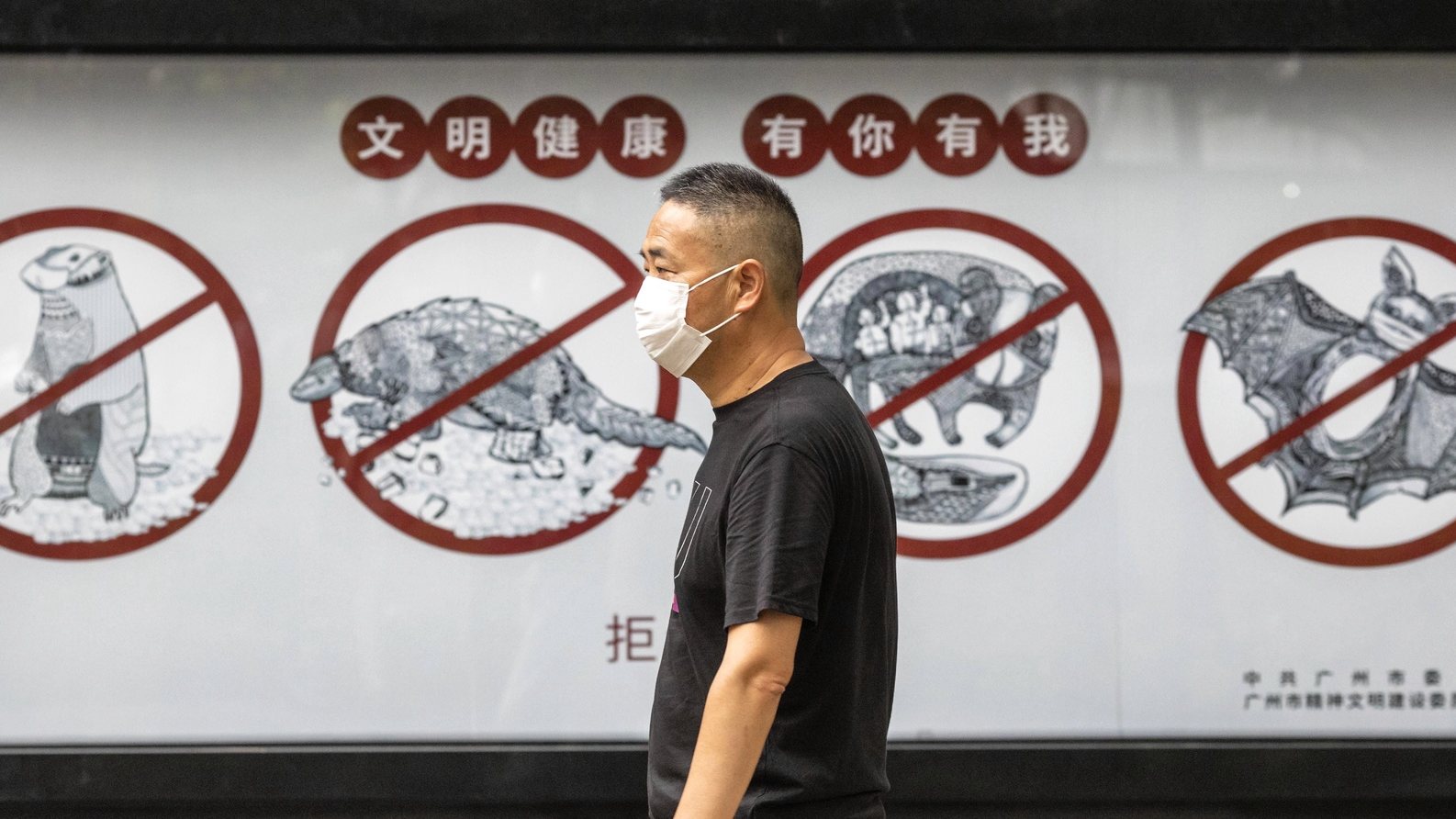 epaselect epa08443024 A man wearing a mask walks past a poster warning people that consuming wildlife is illegal, in Guangzhou, Guangdong province, China, 25 May 2020. China&#039;s Centre for Disease Control and Prevention confirmed a possible link to the SARS-CoV-2 coronavirus found in fruit bats. The respiratory virus was first detected in Wuhan, China, and can be passed between humans.  EPA/ALEX PLAVEVSKI