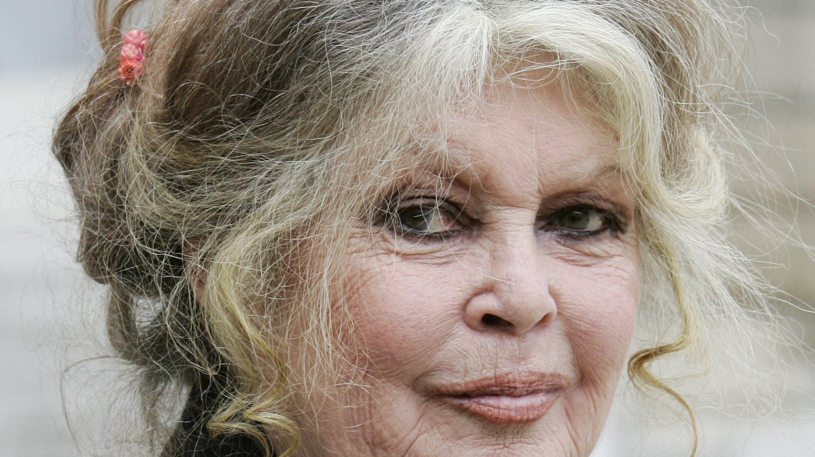 Former actress and now animals rights activist Brigitte Bardot invited for a meeting on the environment with French President Nicolas Sarkozy, at the Elysee Palace In Paris, France On September 27, 2007.