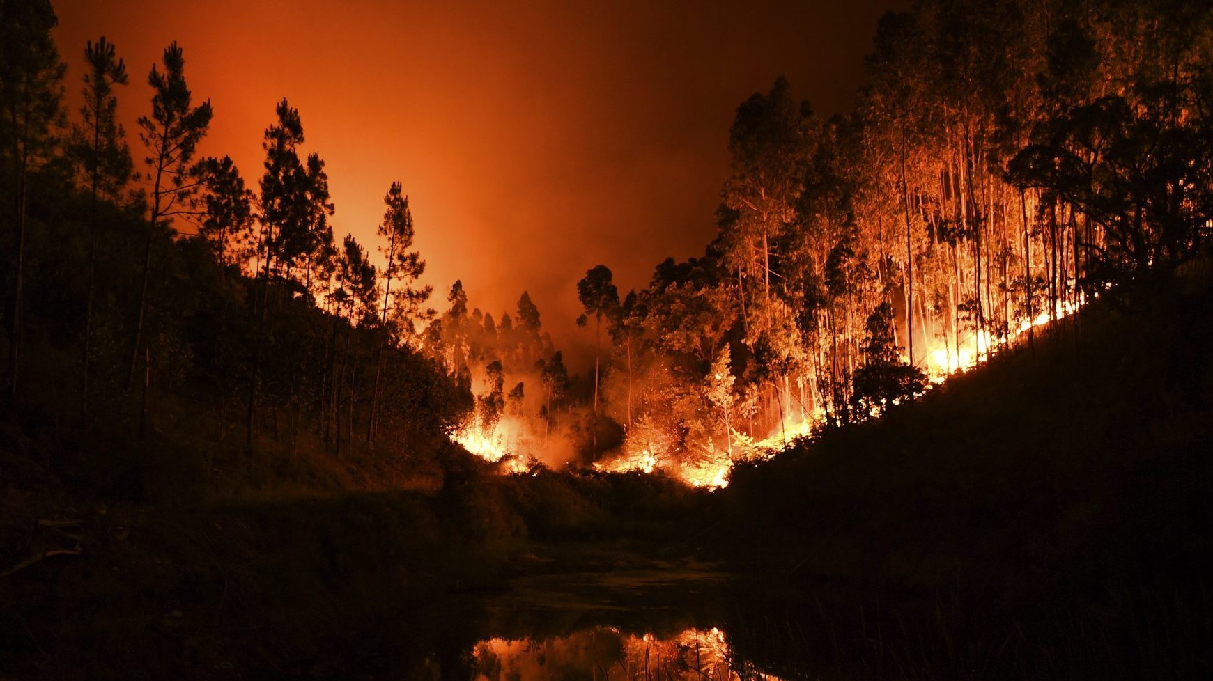 As chamas destruíram várias produções e afetaram gravemente a ovinicultura