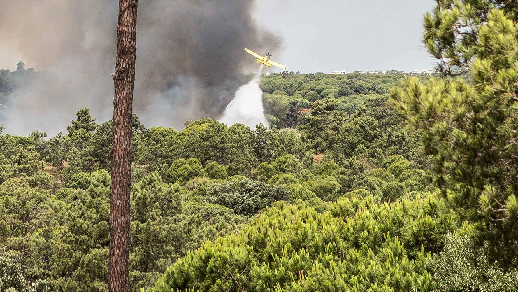 Um meio aéreo combate as chamas na zona do Ludo, Faro, 13 de julho de 2022. Dezasseis dos 18 distritos de Portugal continental estão hoje sob aviso vermelho, o mais grave, devido ao tempo quente, com mais de uma centena de concelhos em perigo máximo de incêndio rural. DUARTE DRAGO/LUSA