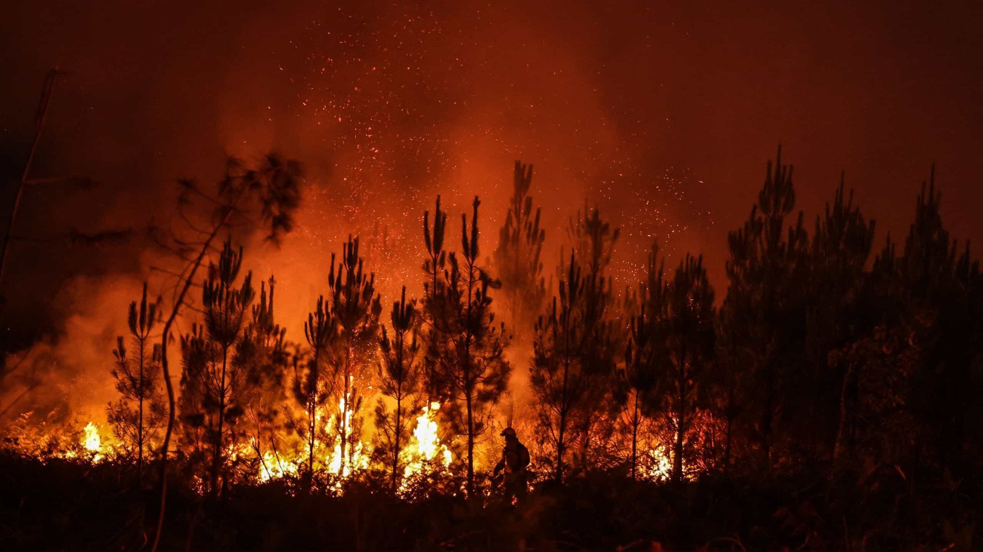Durante o período de verão, os incêndios são muito frequentes na zona norte do país. Só em agosto do ano passado, os fogos causaram pelo menos 38 mortos e 160 feridos em 21 províncias do país, atribuídos às condições meteorológicas extremas