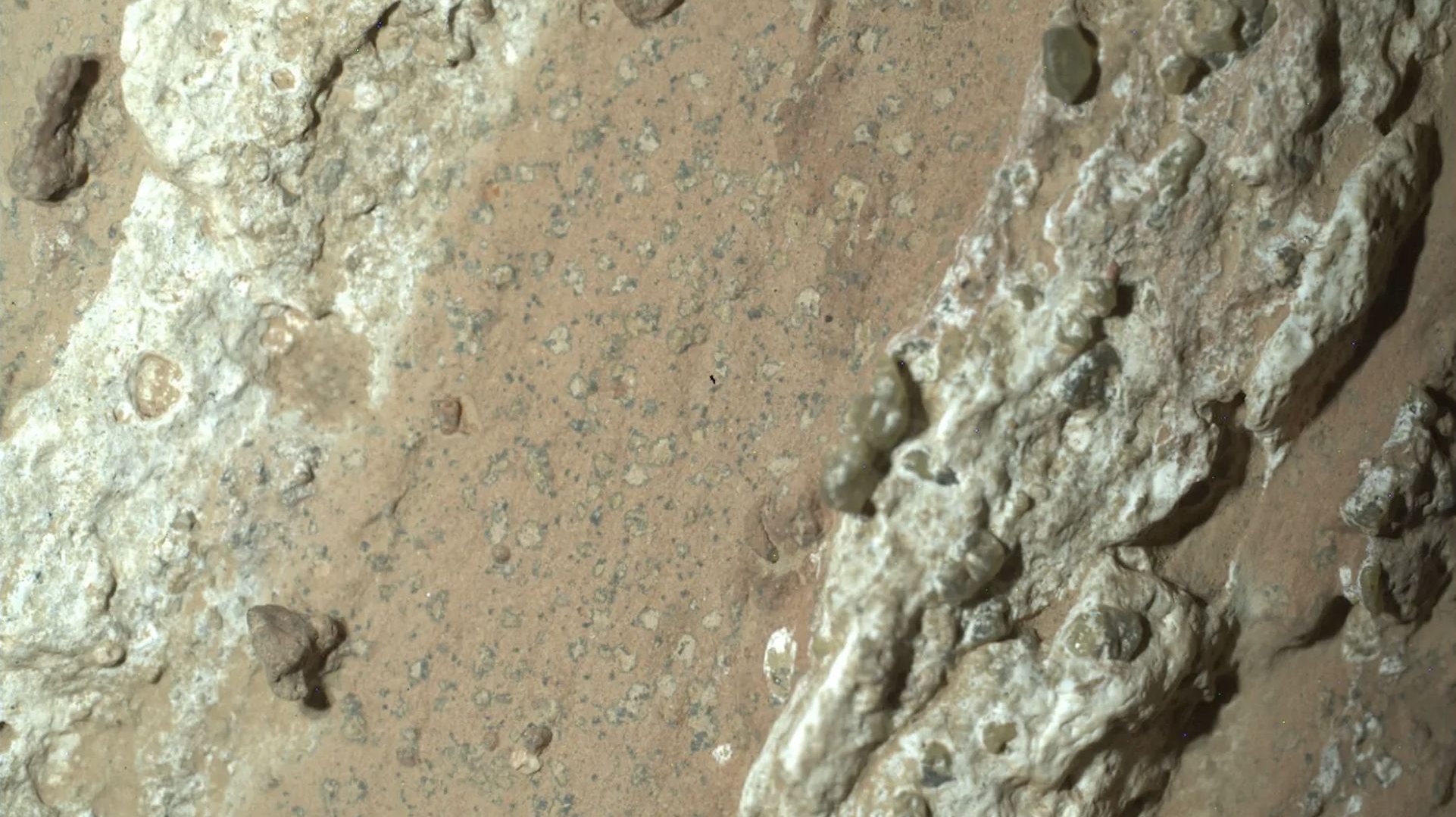 NASA believes it has found signs of microbial life in rocks on Mars