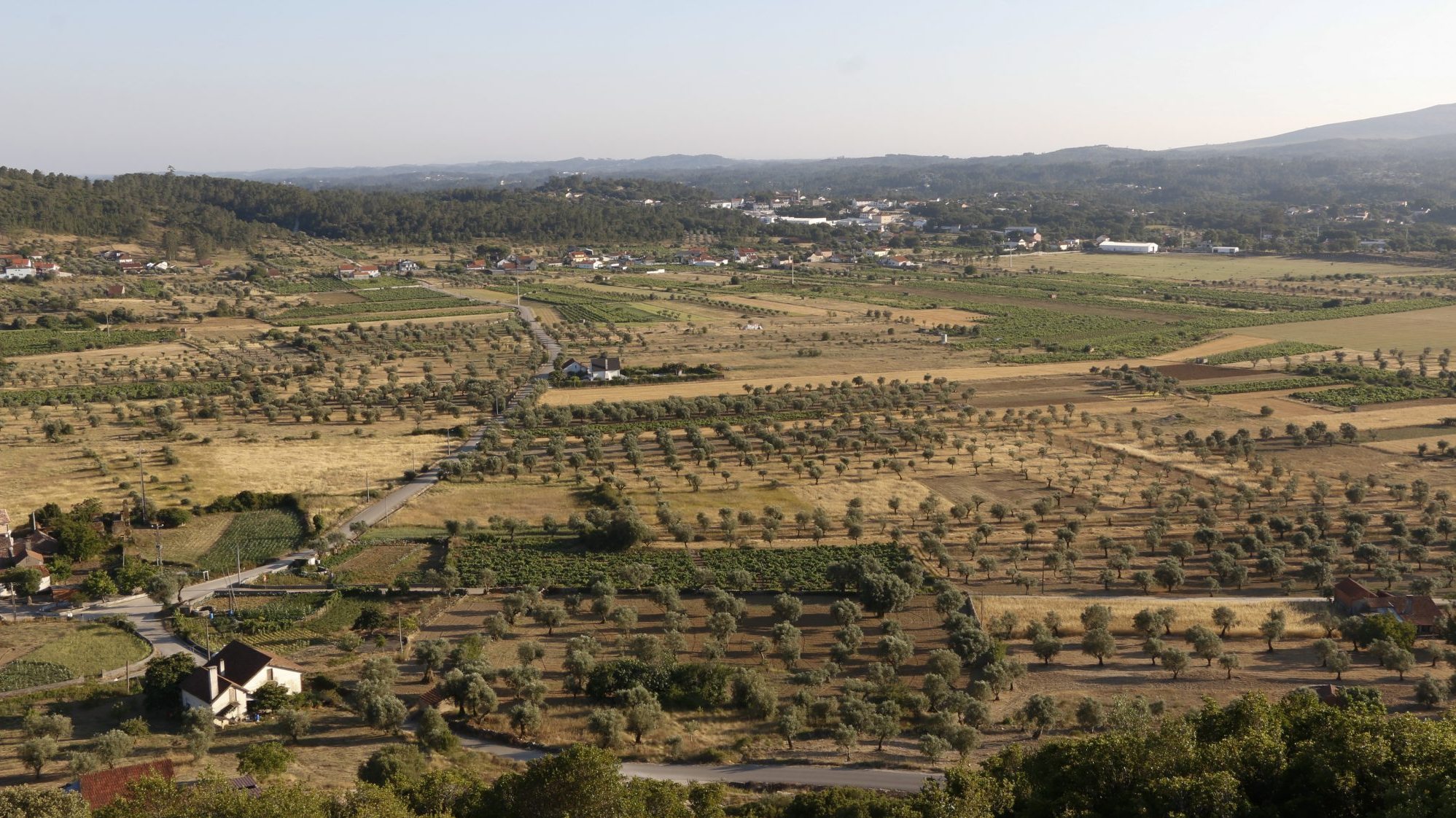 A agricultura é responsável por 75% dos gastos de água em Portugal