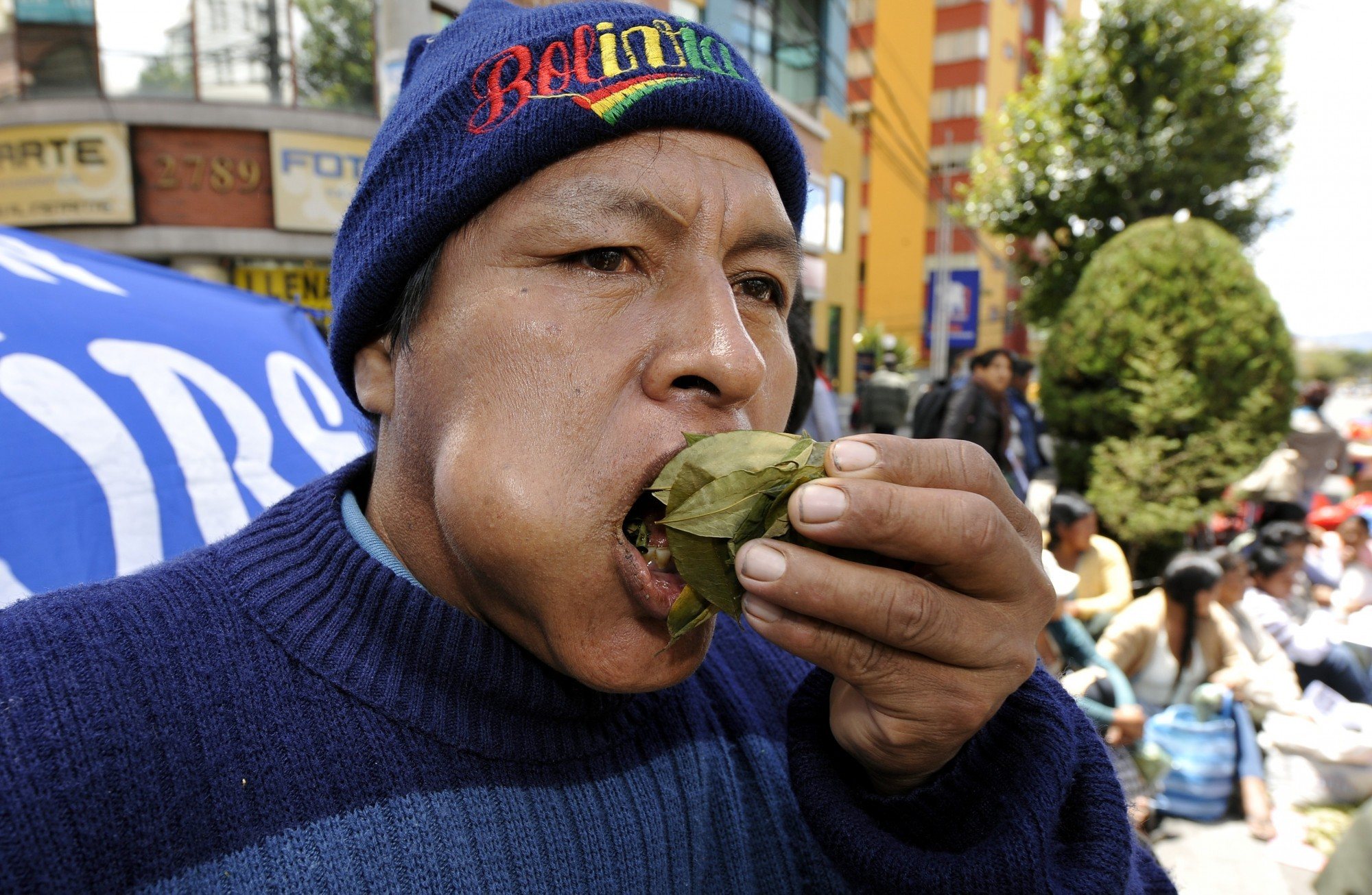 Ch de folha de coca o que andou o Papa a beber Observador