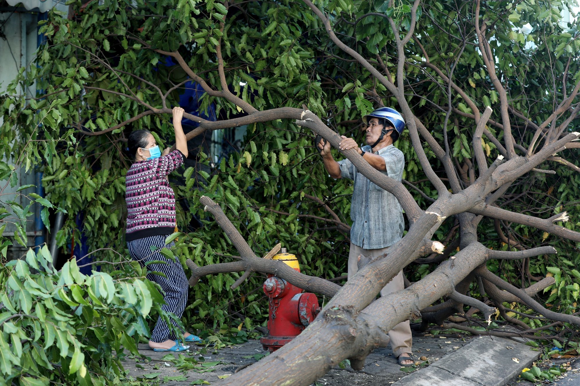 epa08782356 People remove a fallen tree from a street in the aftermath of Typhoon Molave, in Da Nang, Vietnam, 29 October 2020. According to local media reports, at least 13 people have been killed and dozens are missing after torrential rains from Typhoon Molave triggered landslides in parts of central Vietnam.  EPA/STR