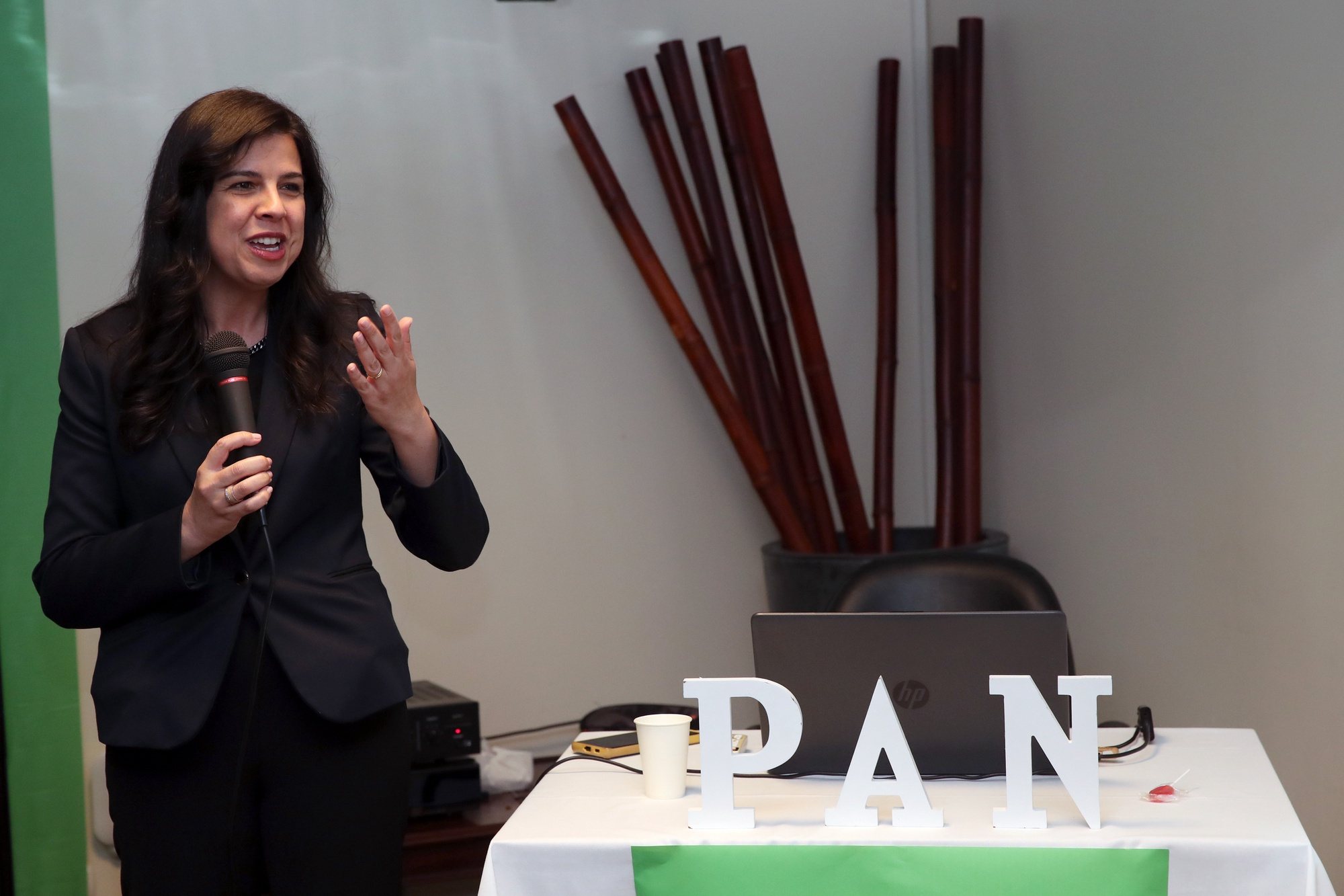 Inês Sousa Real, porta-voz do PAN, esta tarde durante a apresentação da lista de candidatos às eleições Regionais da Madeira 2024, no Funchal, 13 de abril de 2024, HOMEM DE GOUVEIA/LUSA