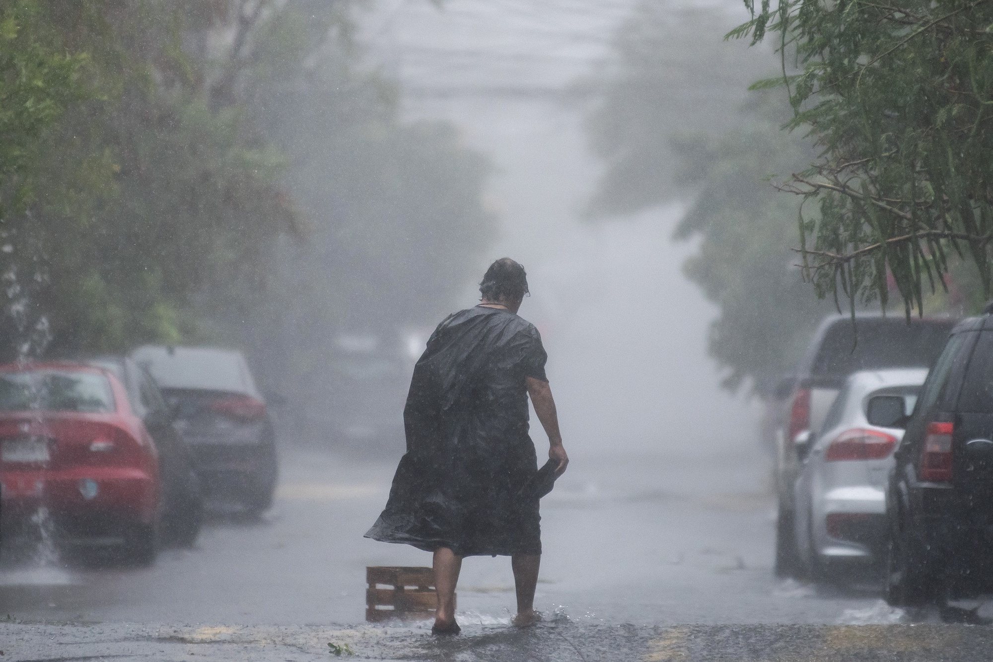 epa11426540 A person walks in the rain in Monterrey, Nuevo Leon, Mexico, 20 June 2024. The first cyclone of the Atlantic season, Alberto, degraded on 20 June from a storm to a tropical depression as it passed over northeastern Mexico, where it will still bring &#039;torrential&#039; rains, warned the National Meteorological Service (SMN).  EPA/Miguel Sierra
