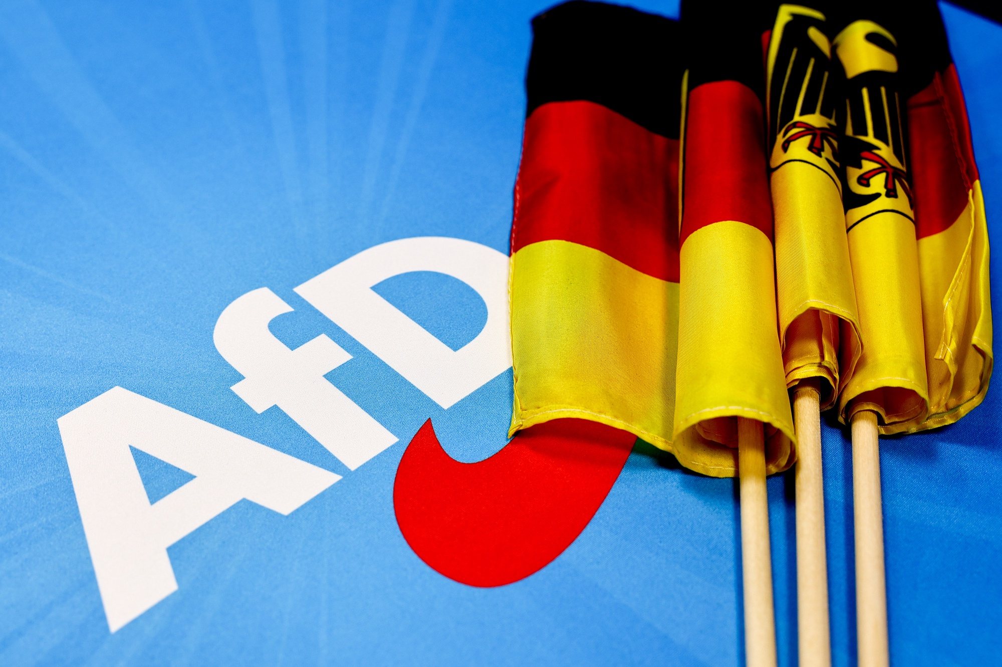 epa11400481 German flags are seen on a table-cloth with Alternative for Germany (AfD) logo at the election party during the Alternative for Germany (AfD) election event in Berlin, Germany, 09 June 2024. The European Parliament elections take place across EU member states from 06 to 09 June 2024, with the European elections in Germany being held on 09 June.  EPA/FILIP SINGER