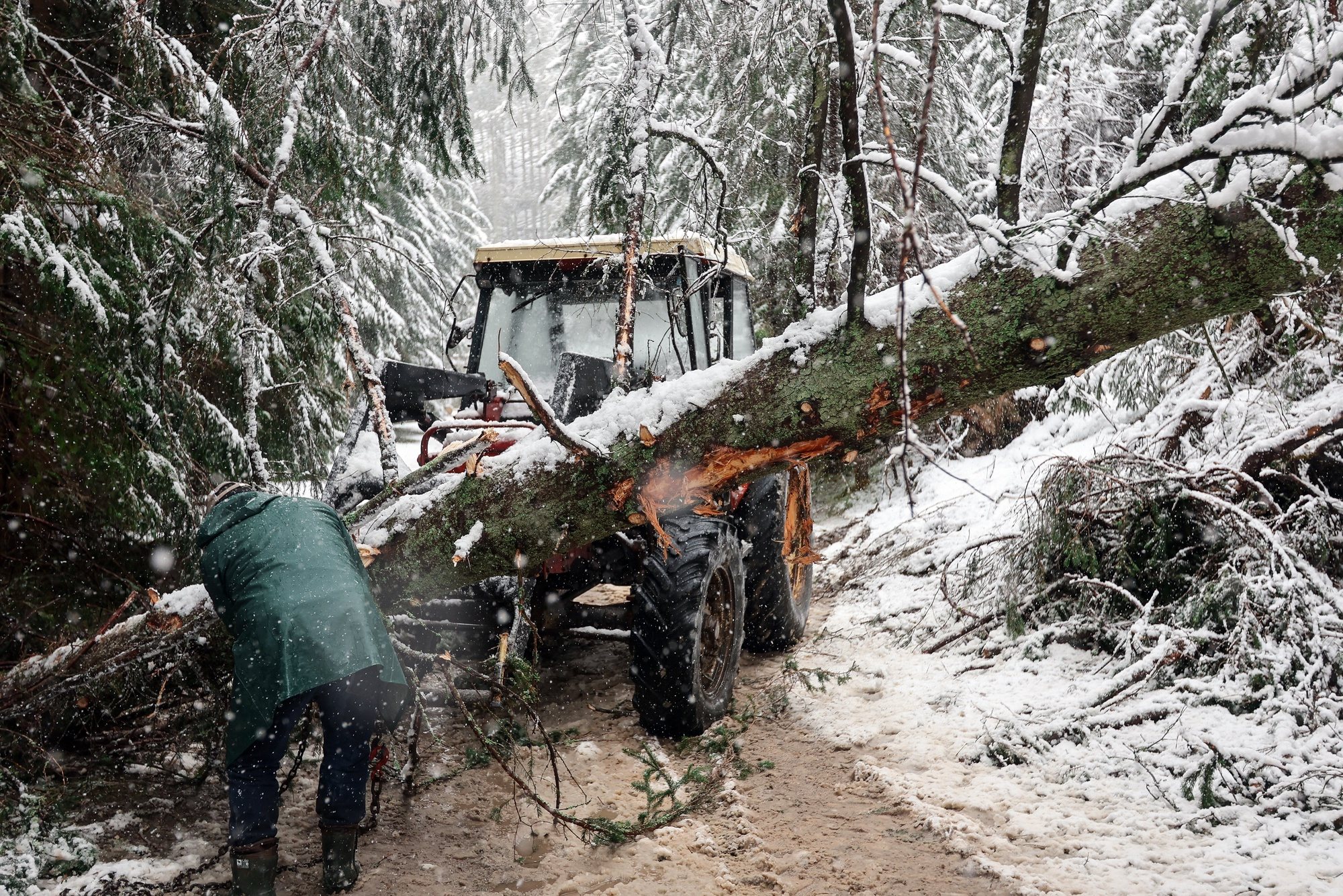 epa11255394 A worker removes trees knocked down during a windstorm on 01 April, in the Chocholowska Valley in the Tatra Mountains, Zakopane, south Poland, 02 April 2024.  EPA/GRZEGORZ MOMOT POLAND OUT