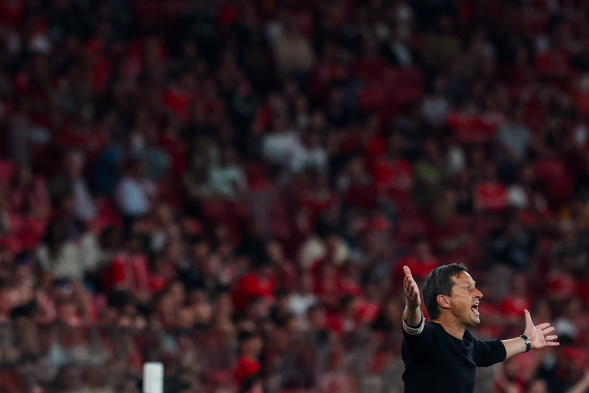 Benfica head coach Roger Schmidt reacts during their First League Soccer match against Moreirense, held at Luz Stadium, in Lisbon, Portugal, 14 April 2024. JOSE SENA GOULAO/LUSA