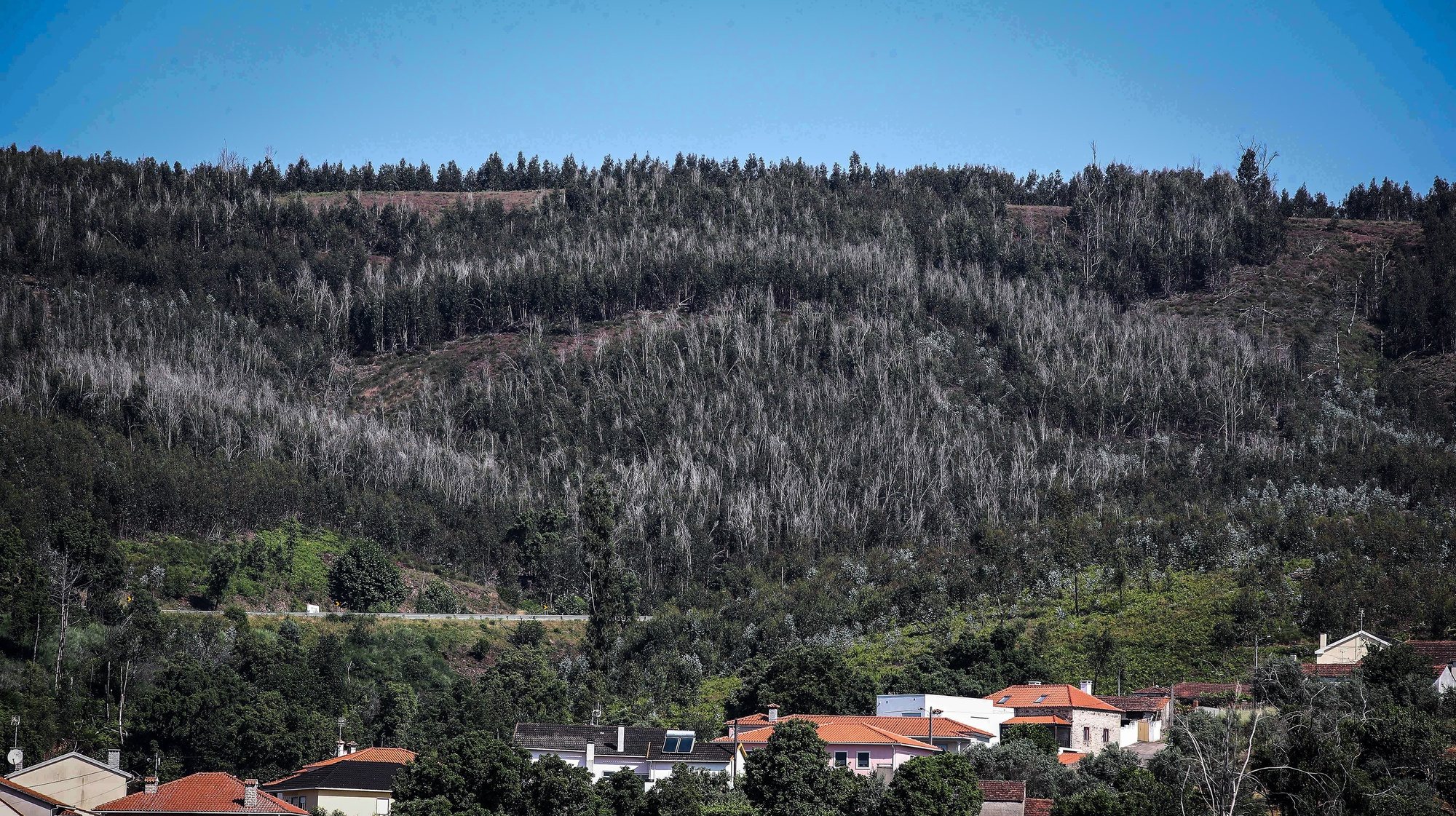 Nas aldeias dos concelhos de Pedrógão Grande, Castanheira de Pêra e Figueiró dos Vinhos ainda são bem visíveis os sinais de destruição  4 anos depois do incêndios de Pedrógão Grande, com casas que continuam destruídas e árvores queimadas por cortar, Castanheira de Pêra,14 de junho de 2021. (ACOMPANHA TEXTO DE 16/06/2021) PAULO NOVAIS/LUSA