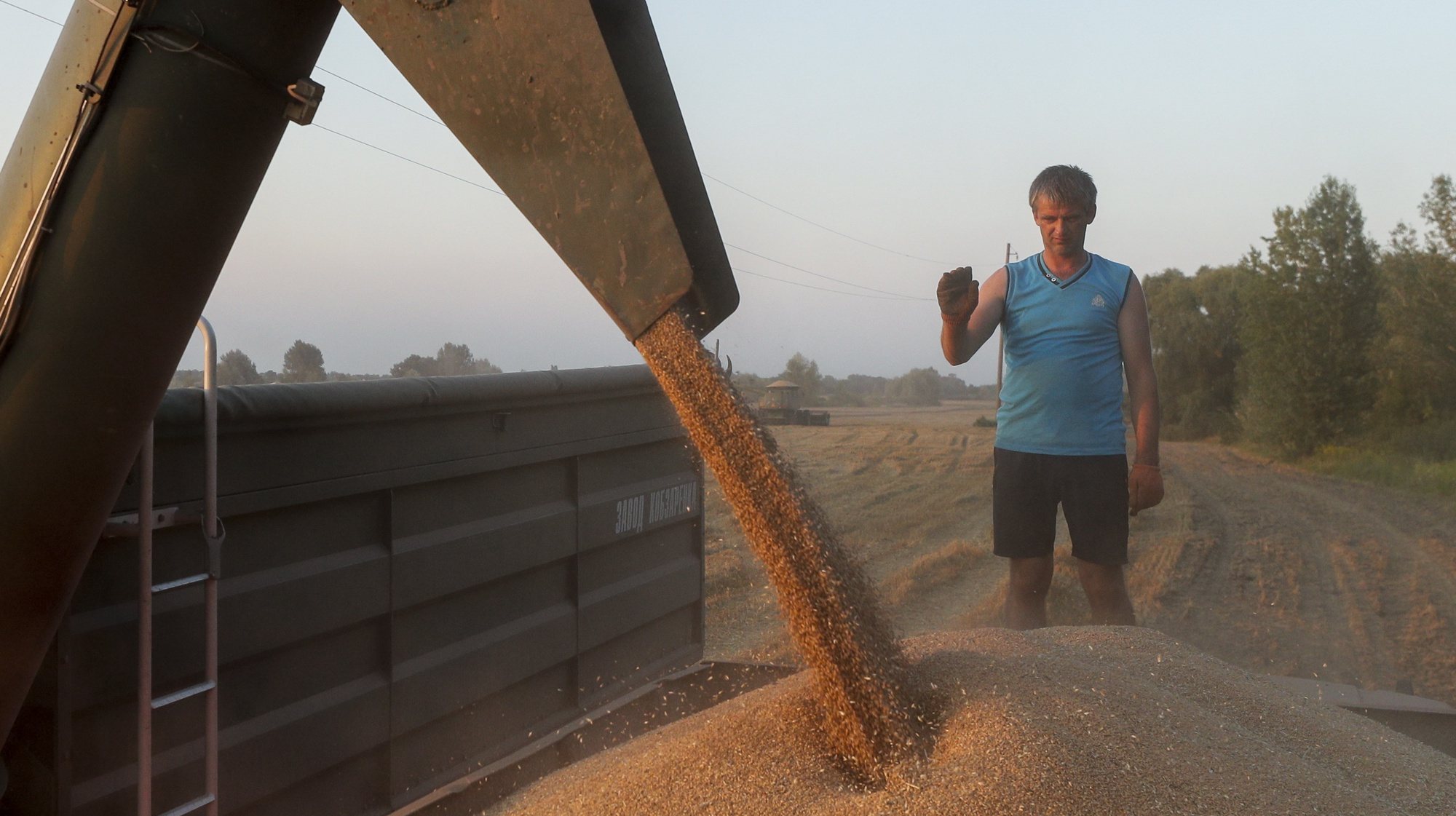 epa10784988 A farmer watches as a combined harvester pours grain on a truck in a field near Kyiv (Kiev), Ukraine, 04 August 2023. Russia has recently pulled out of a UN-Turkey brokered agreement guaranteeing safe passage to Ukrainian grain exports through the Black Sea.  EPA/SERGEY DOLZHENKO