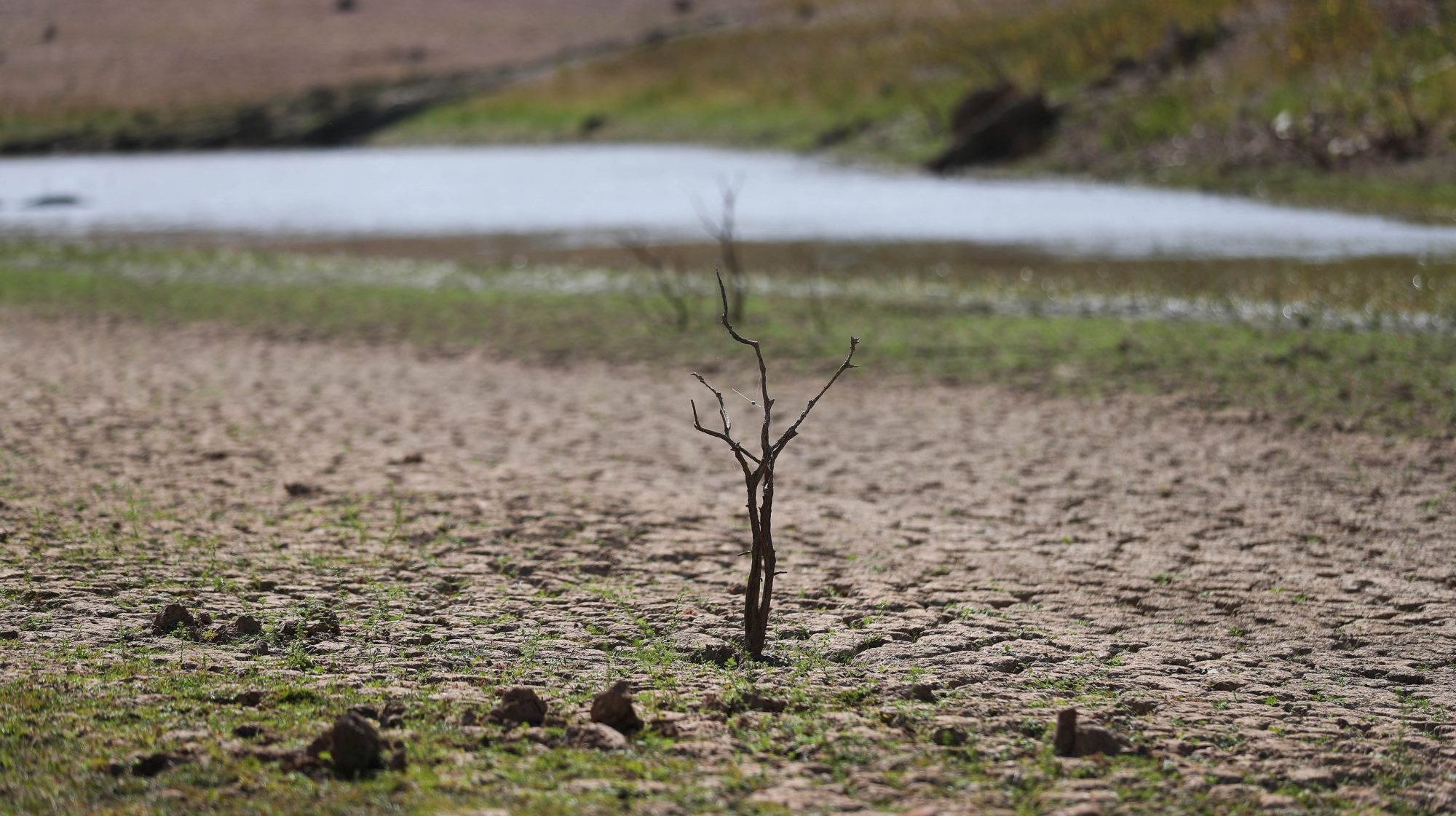 Segundo António Bota, os municípios onde a seca é mais evidente são Almodôvar, Castro Verde, Mértola e Ourique