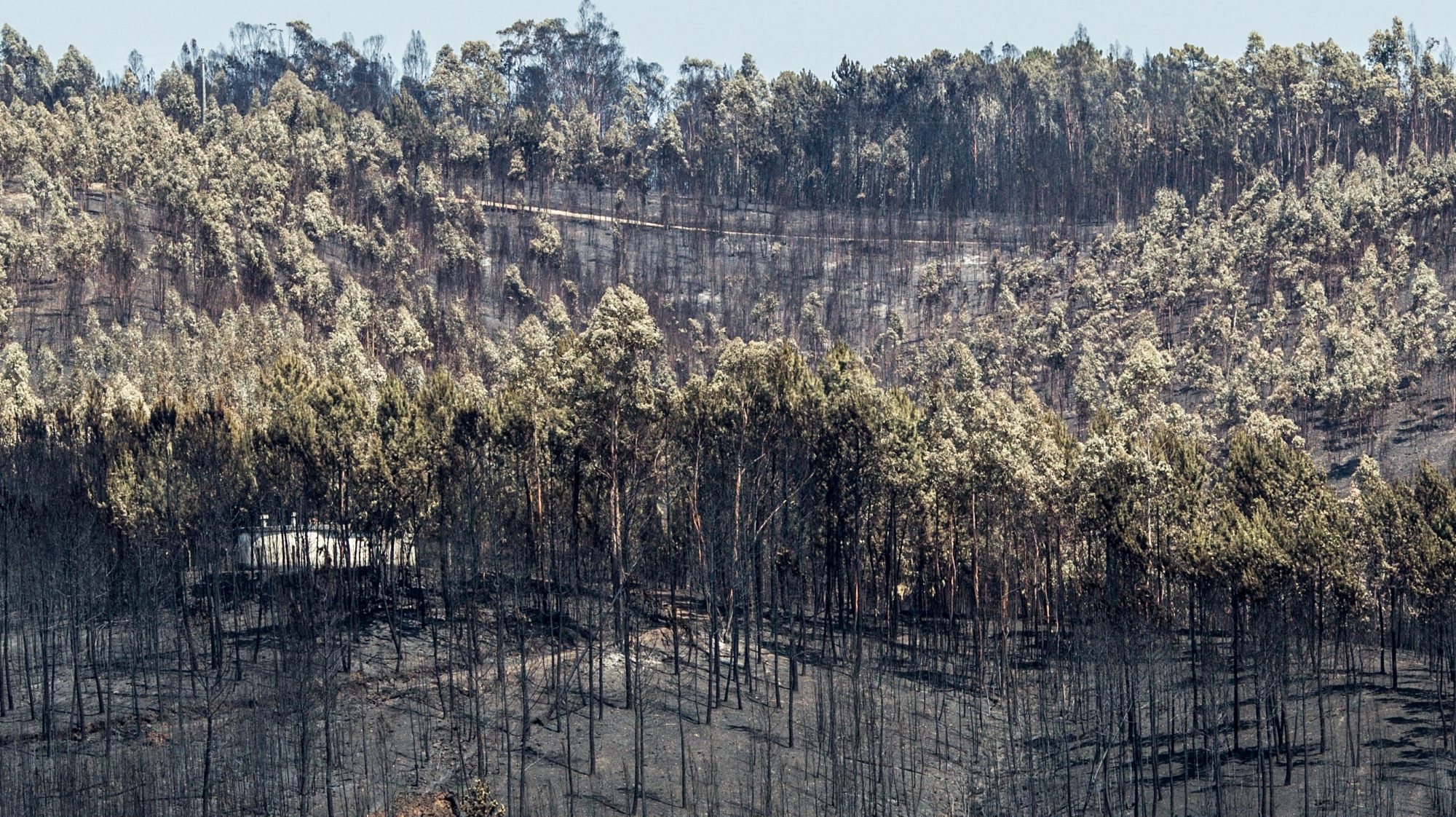 O incêndio que deflagrou em 17 de junho de 2017 em Escalos Fundeiros, no concelho de Pedrógão Grande, provocou 66 mortos e 253 feridos