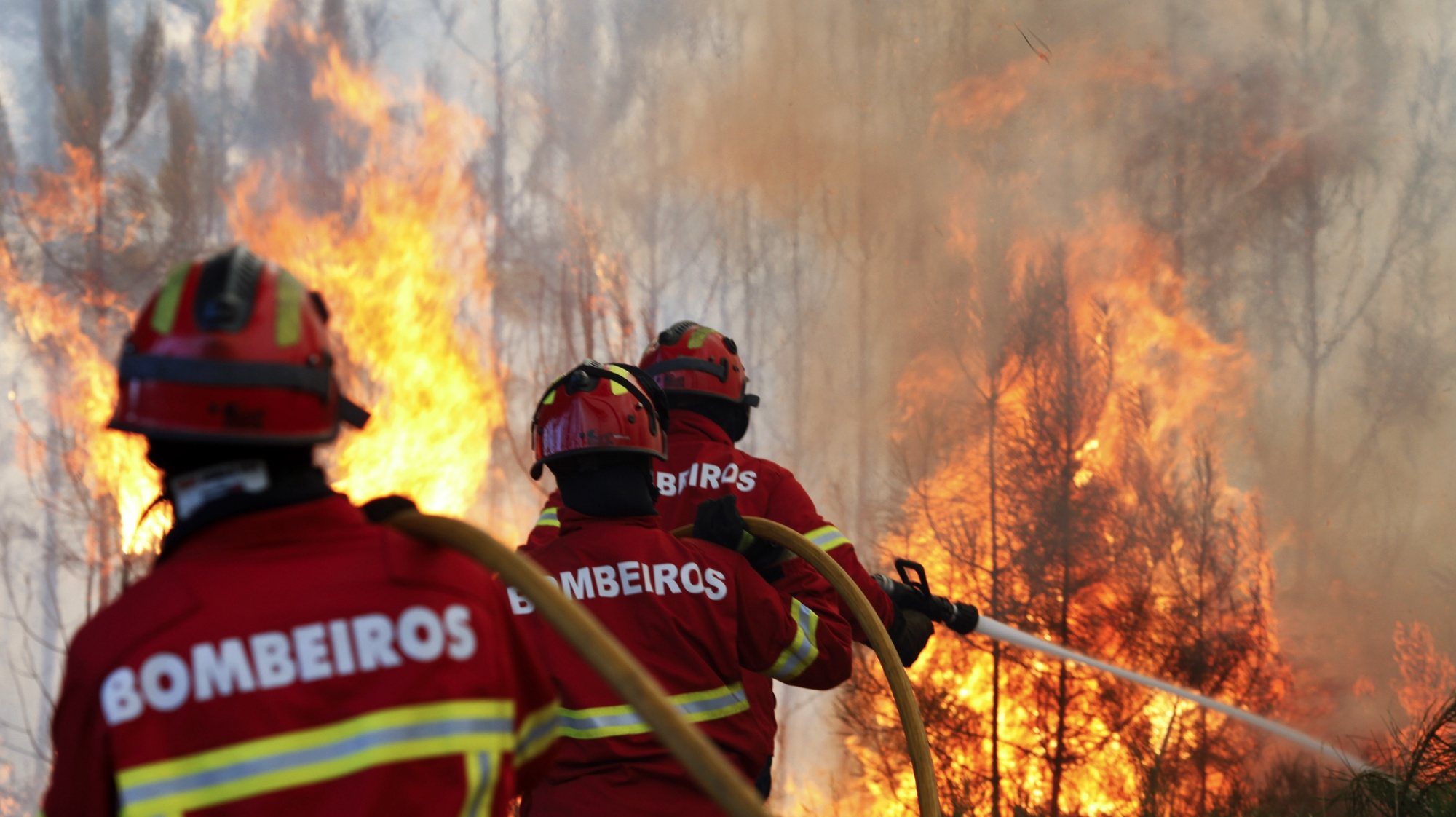 Bombeiros durante o combate a um incêndio entre Casal dos Bernardos e Rio de Couros, no concelho de Ourém, 4 agosto 2015. PAULO CUNHA/LUSA